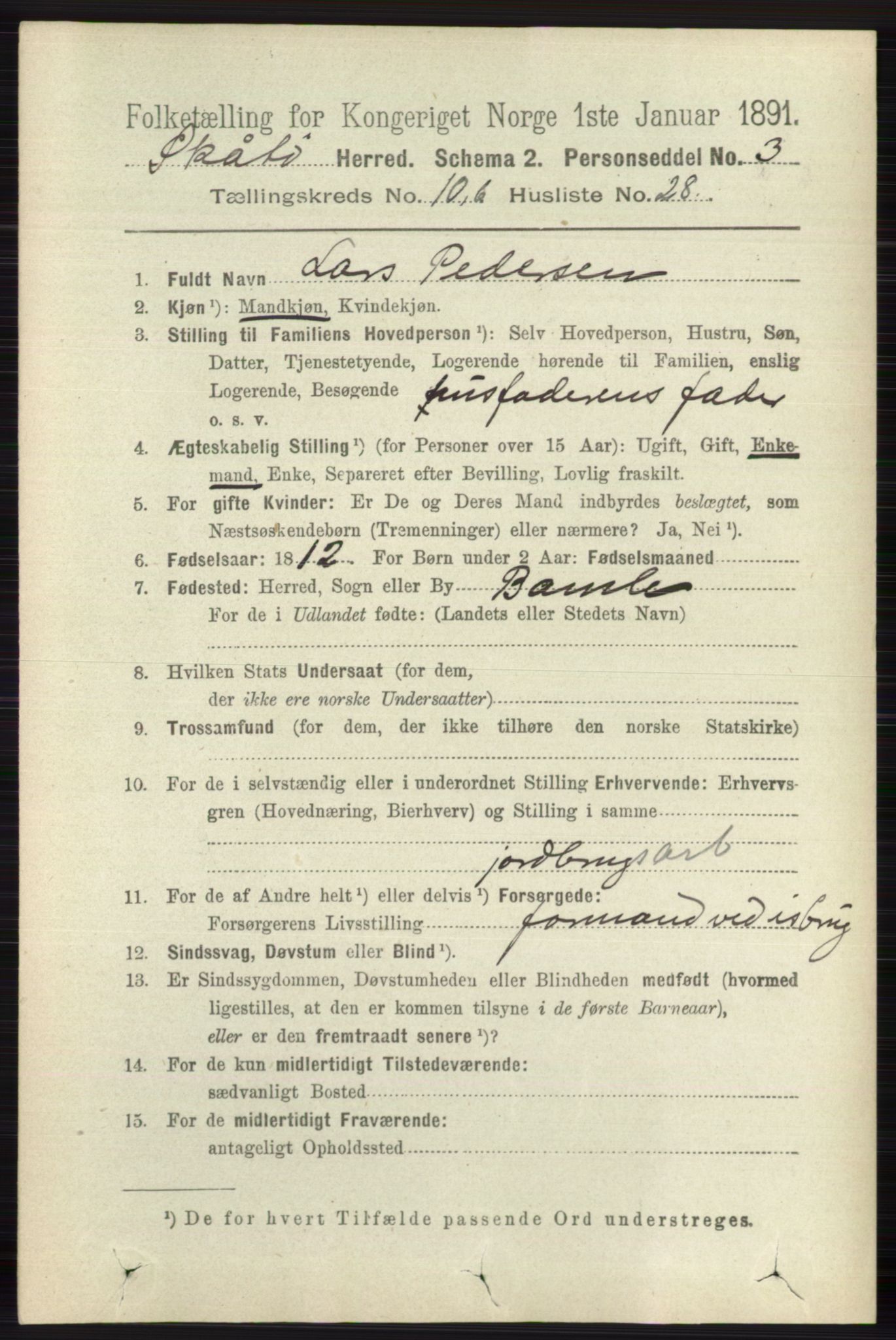 RA, 1891 census for 0815 Skåtøy, 1891, p. 4209