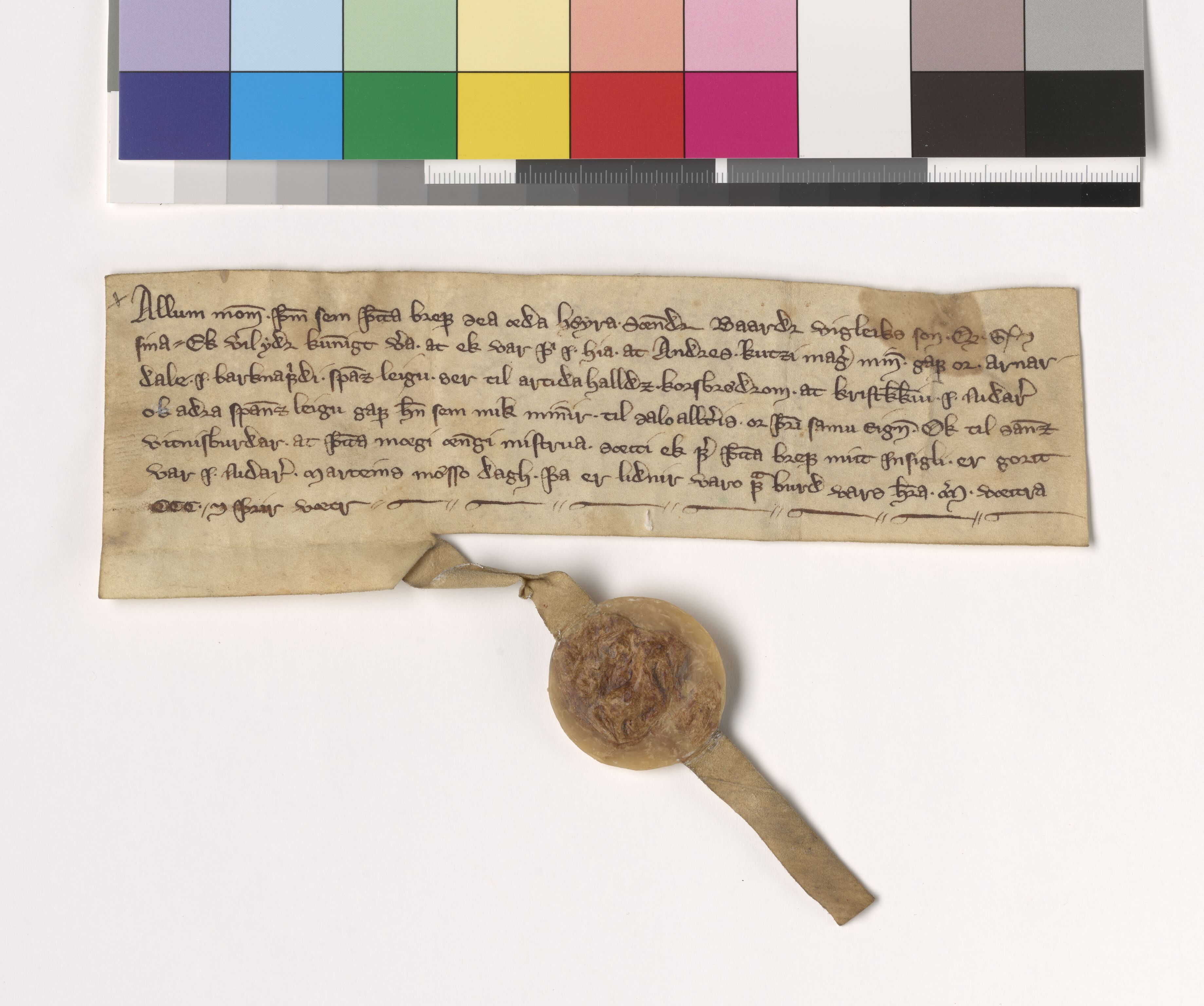 Riksarkivets diplomsamling, AV/RA-EA-5965/F05/L0023: NRA AM fasc. 7 nr. 10-12, 1303, p. 9