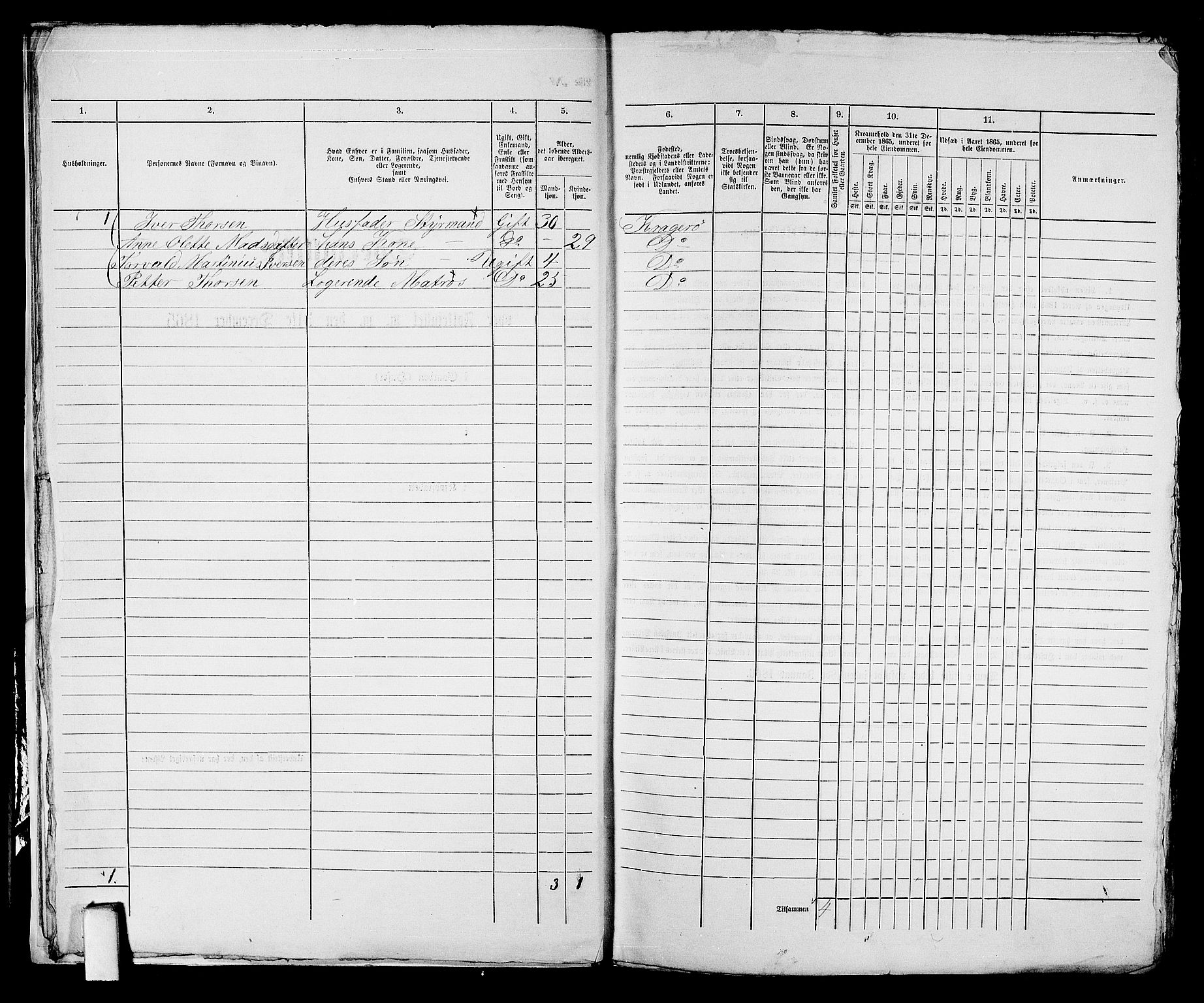 RA, 1865 census for Kragerø/Kragerø, 1865, p. 14