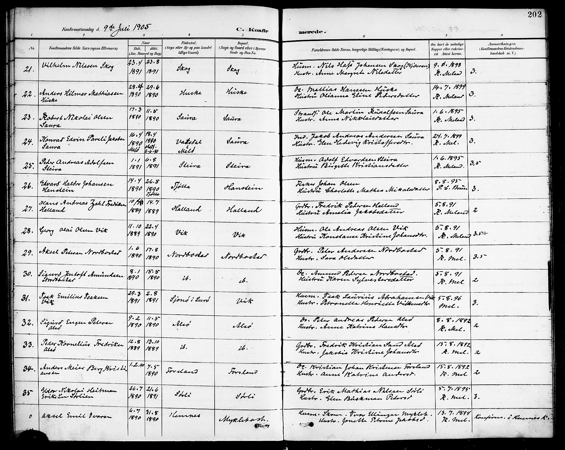 Ministerialprotokoller, klokkerbøker og fødselsregistre - Nordland, AV/SAT-A-1459/838/L0559: Parish register (copy) no. 838C06, 1893-1910, p. 202