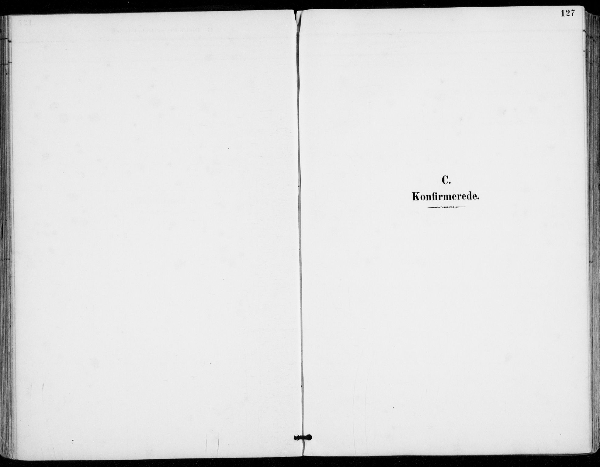 Sylling kirkebøker, AV/SAKO-A-247/F/Fa/L0001: Parish register (official) no. 1, 1883-1910, p. 127