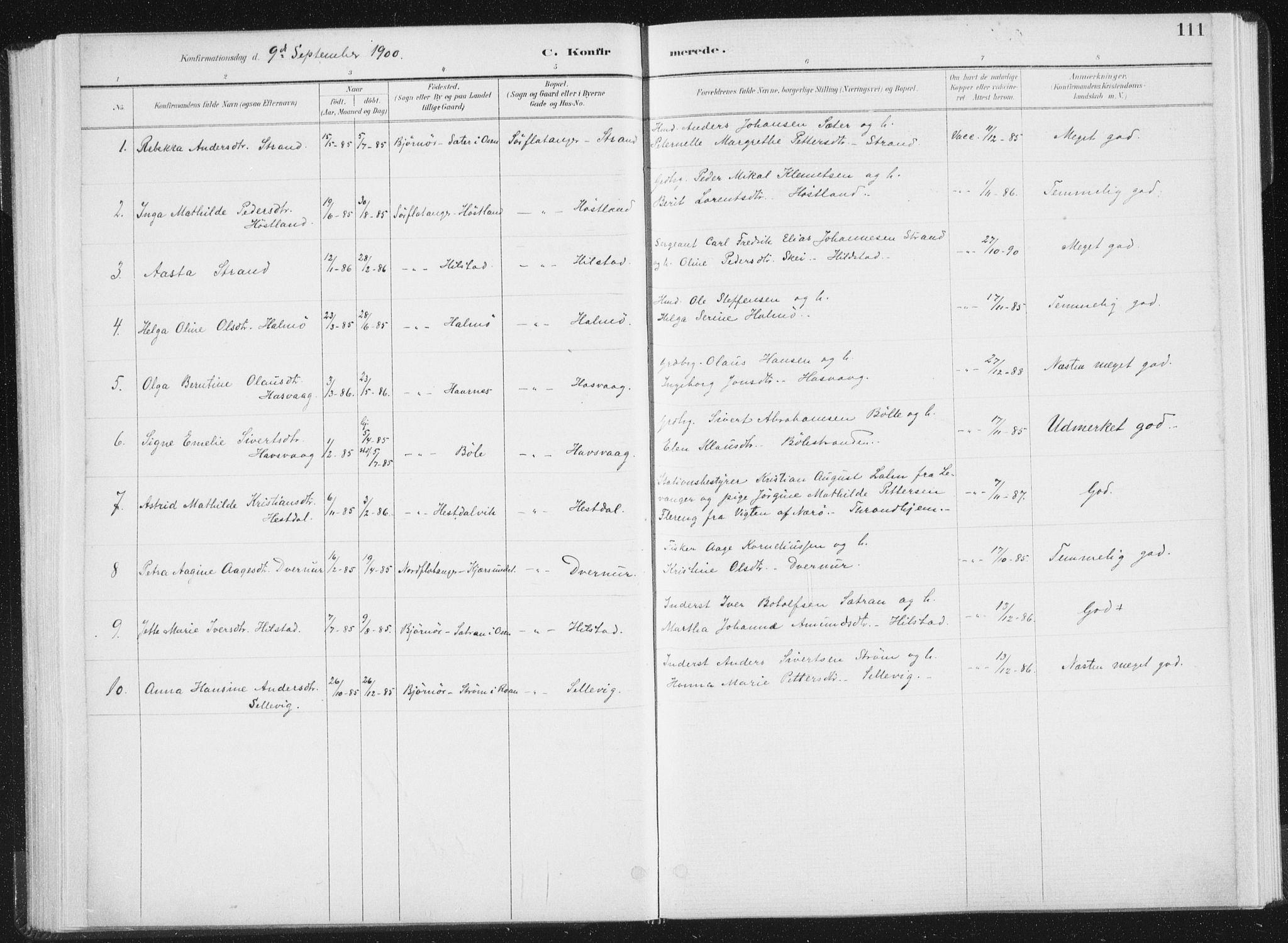 Ministerialprotokoller, klokkerbøker og fødselsregistre - Nord-Trøndelag, SAT/A-1458/771/L0597: Parish register (official) no. 771A04, 1885-1910, p. 111