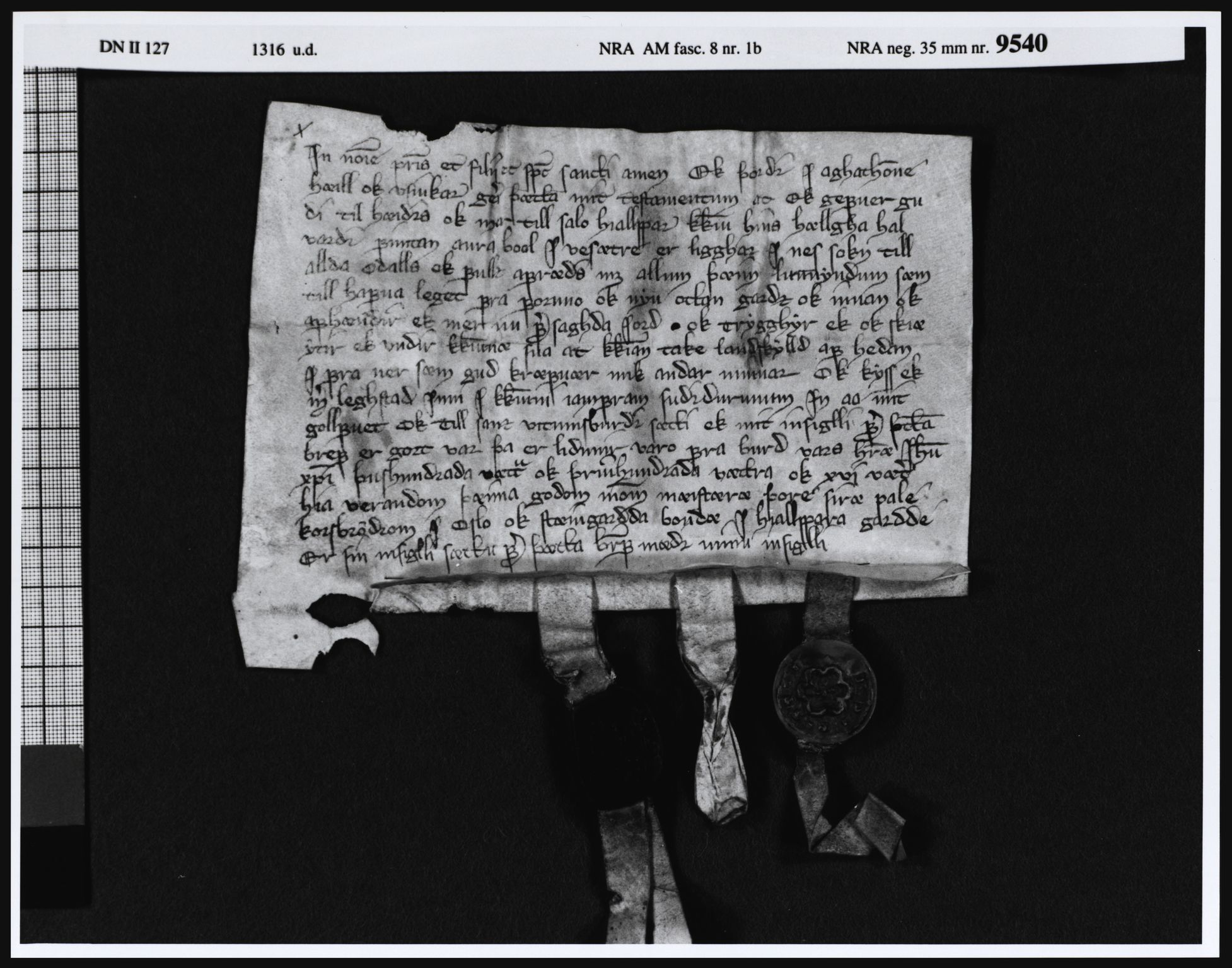 Riksarkivets diplomsamling, AV/RA-EA-5965/F05/L0028: NRA AM fasc. 8 nr. 1a-6, 1315-1324, p. 10