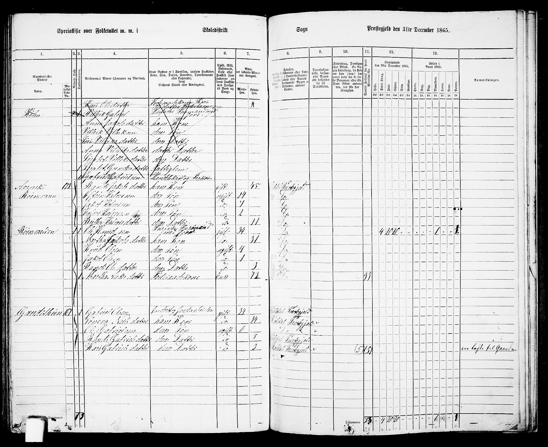 RA, 1865 census for Suldal, 1865, p. 110