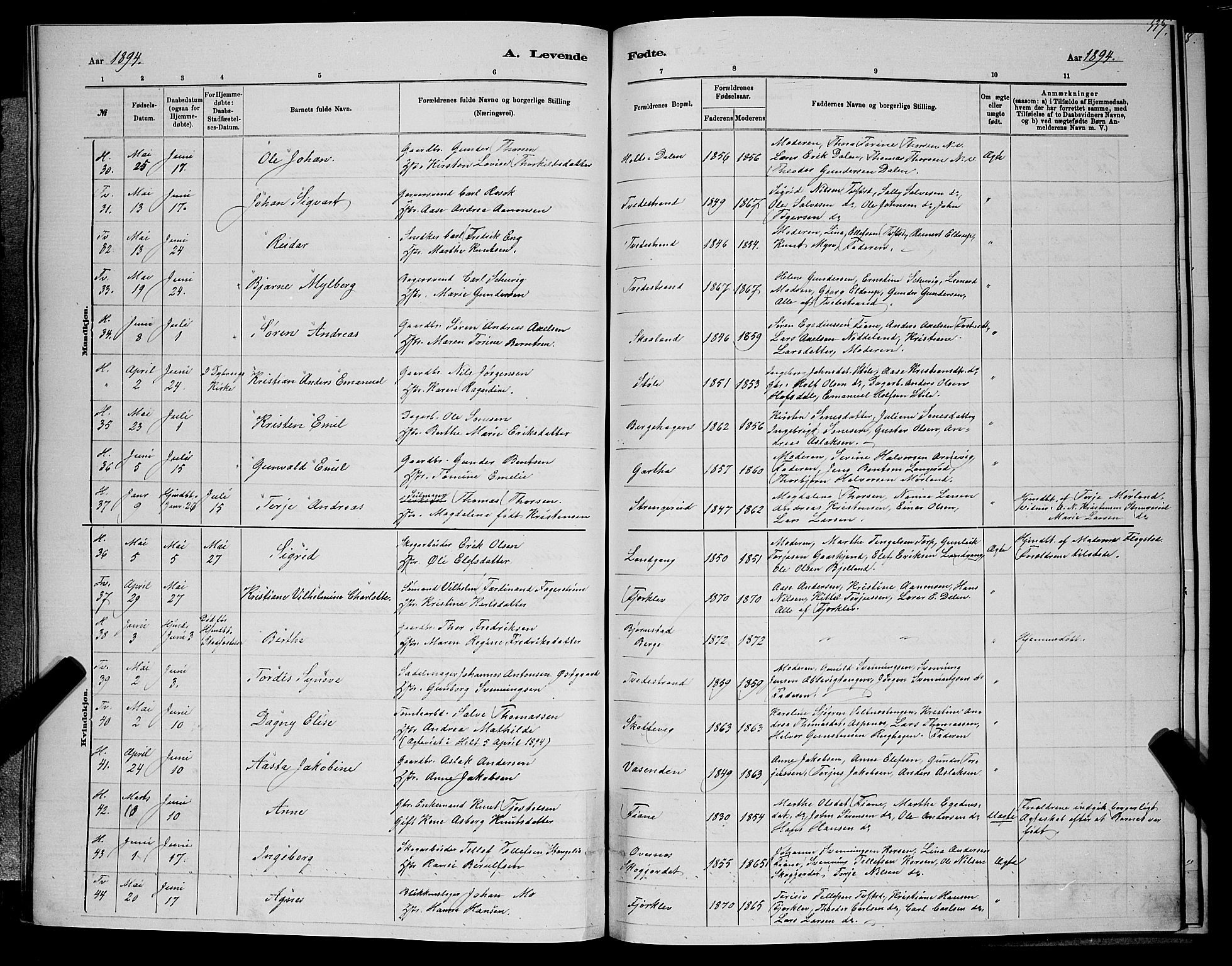 Holt sokneprestkontor, AV/SAK-1111-0021/F/Fb/L0010: Parish register (copy) no. B 10, 1883-1896, p. 117