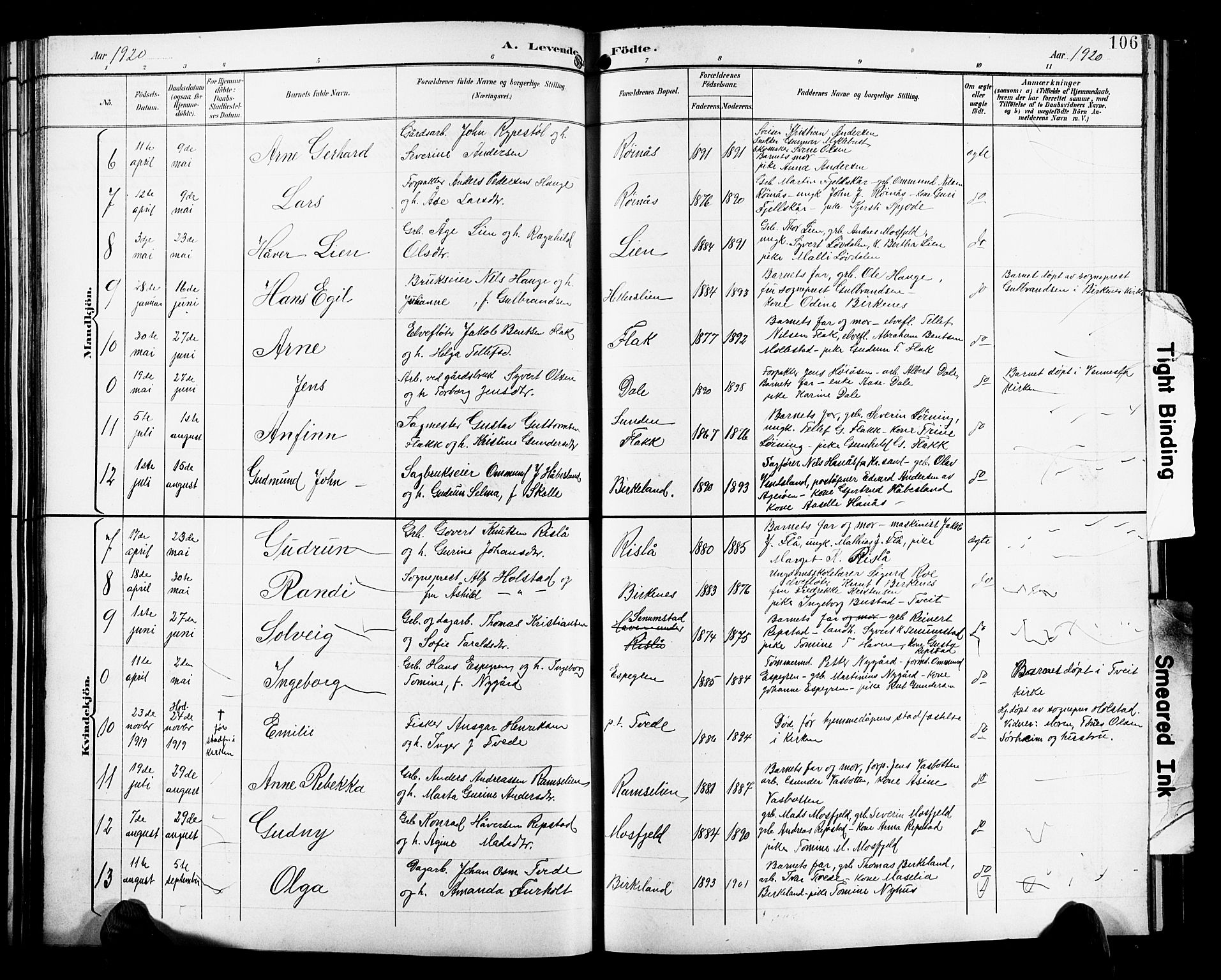 Birkenes sokneprestkontor, SAK/1111-0004/F/Fb/L0004: Parish register (copy) no. B 4, 1893-1930, p. 106