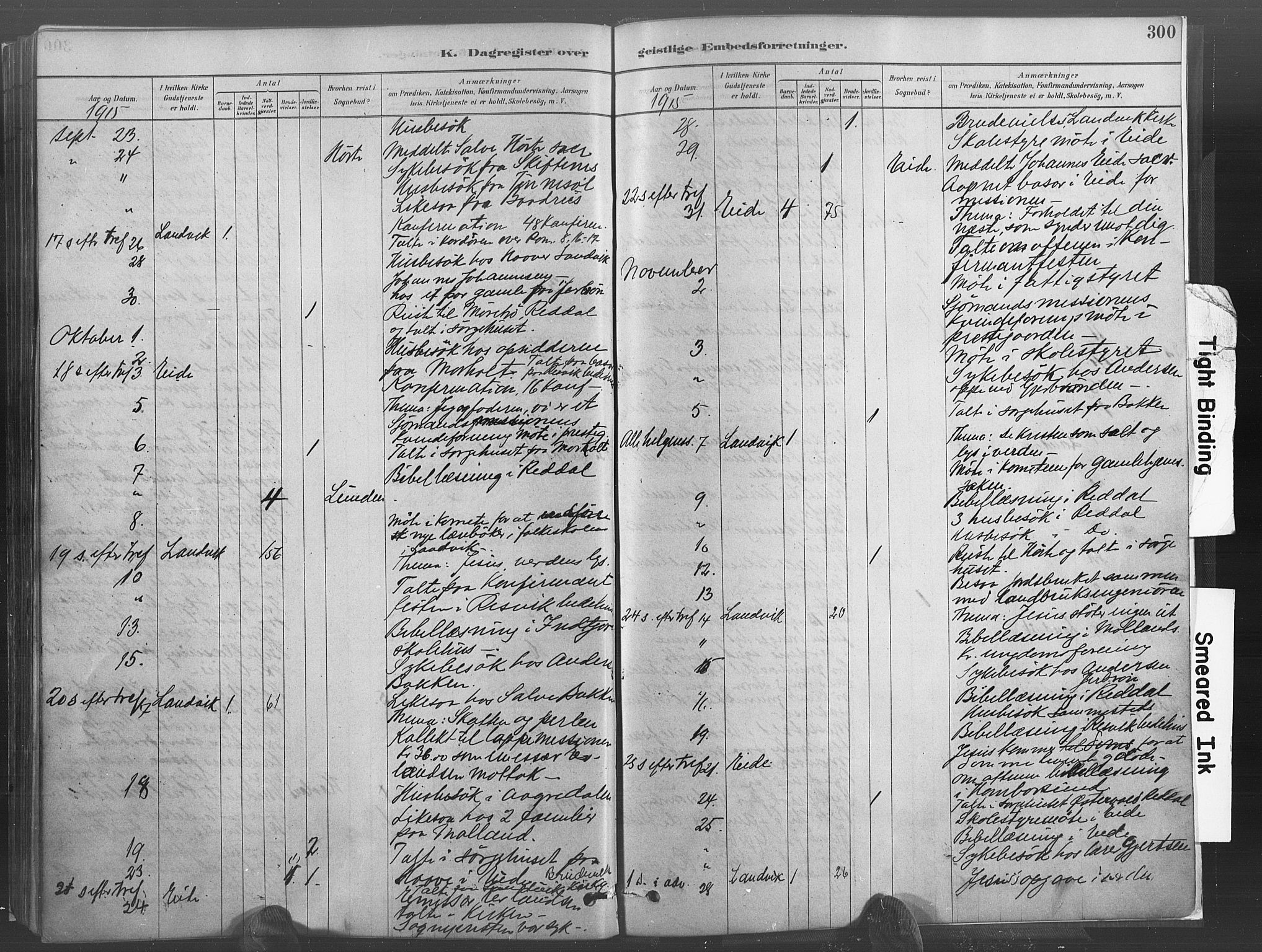 Hommedal sokneprestkontor, AV/SAK-1111-0023/F/Fa/Fab/L0006: Parish register (official) no. A 6, 1878-1897, p. 300