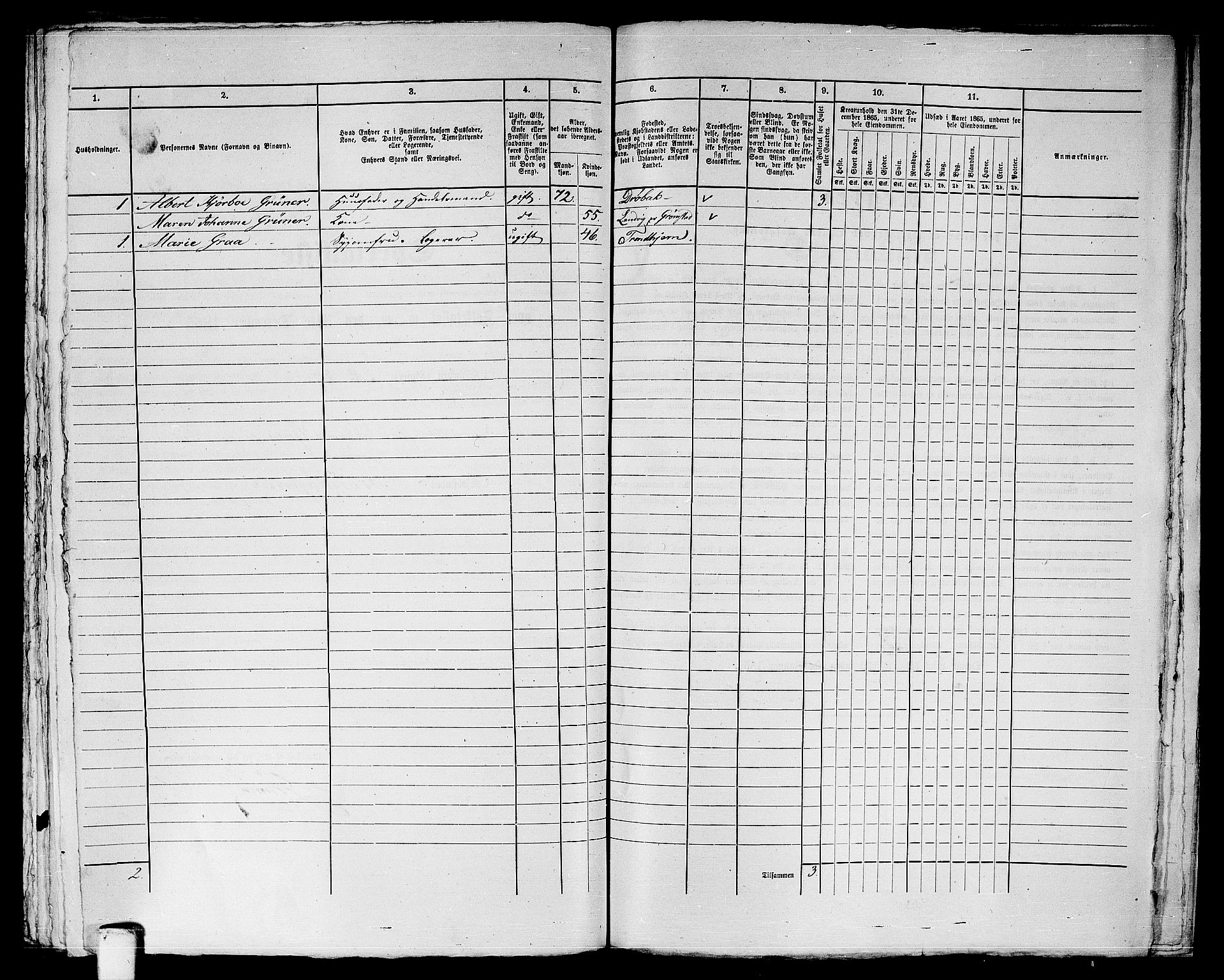 RA, 1865 census for Trondheim, 1865, p. 1530