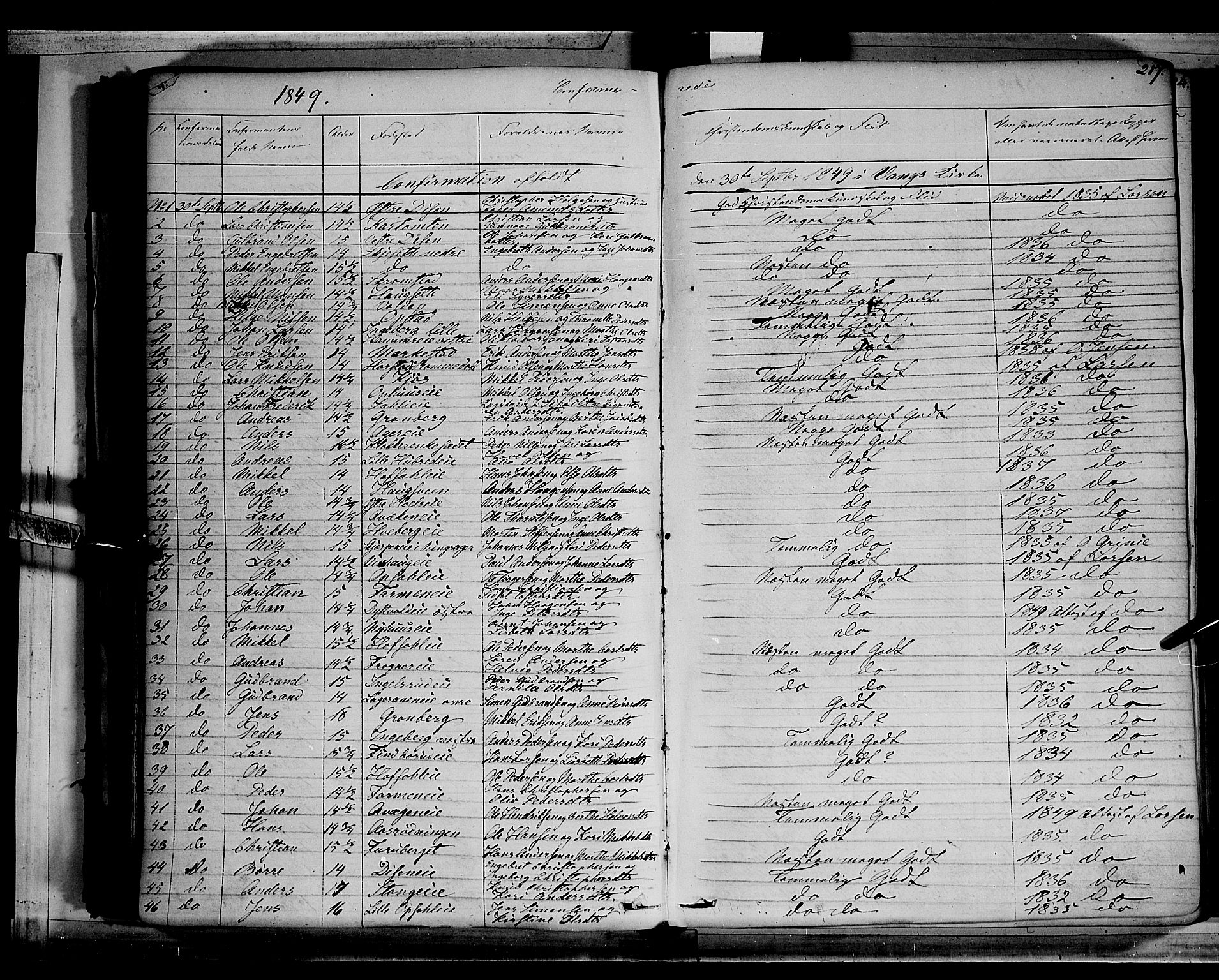 Vang prestekontor, Hedmark, AV/SAH-PREST-008/H/Ha/Haa/L0010: Parish register (official) no. 10, 1841-1855, p. 217