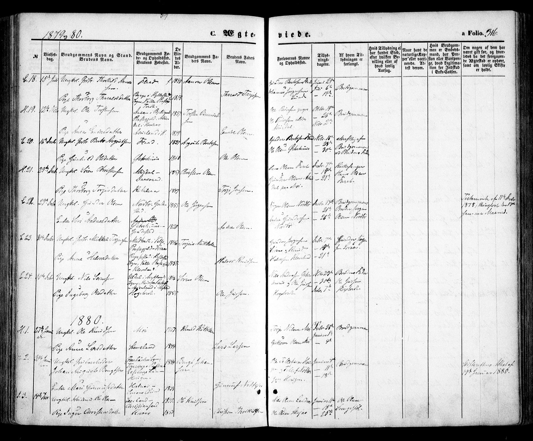 Evje sokneprestkontor, SAK/1111-0008/F/Fa/Faa/L0006: Parish register (official) no. A 6, 1866-1884, p. 316