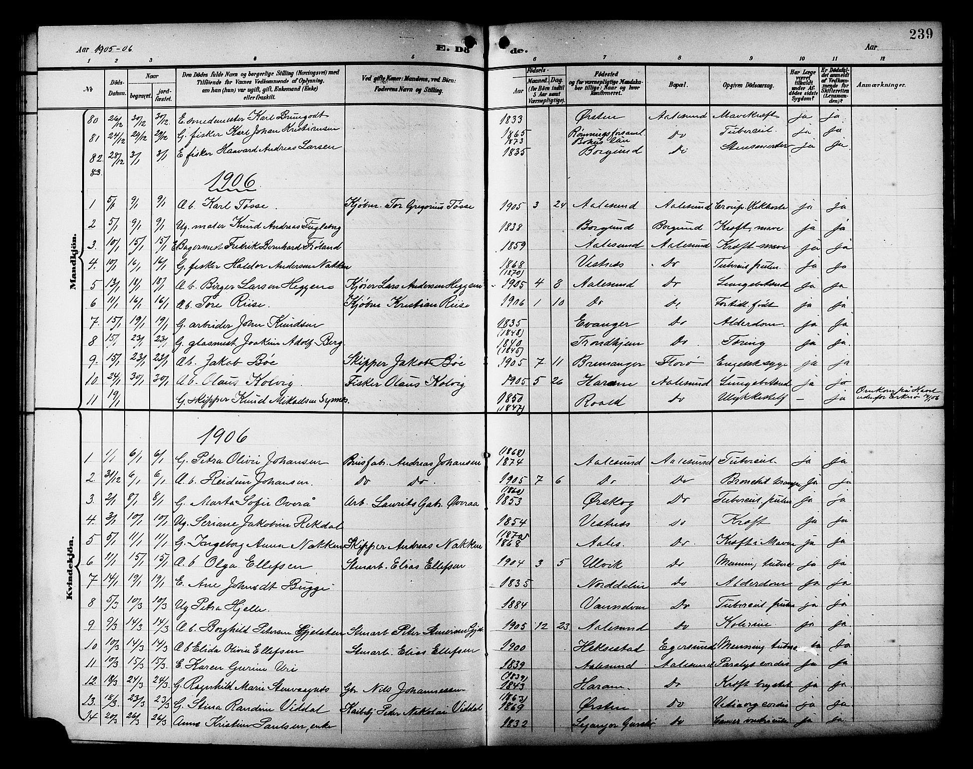 Ministerialprotokoller, klokkerbøker og fødselsregistre - Møre og Romsdal, SAT/A-1454/529/L0469: Parish register (copy) no. 529C06, 1898-1906, p. 239