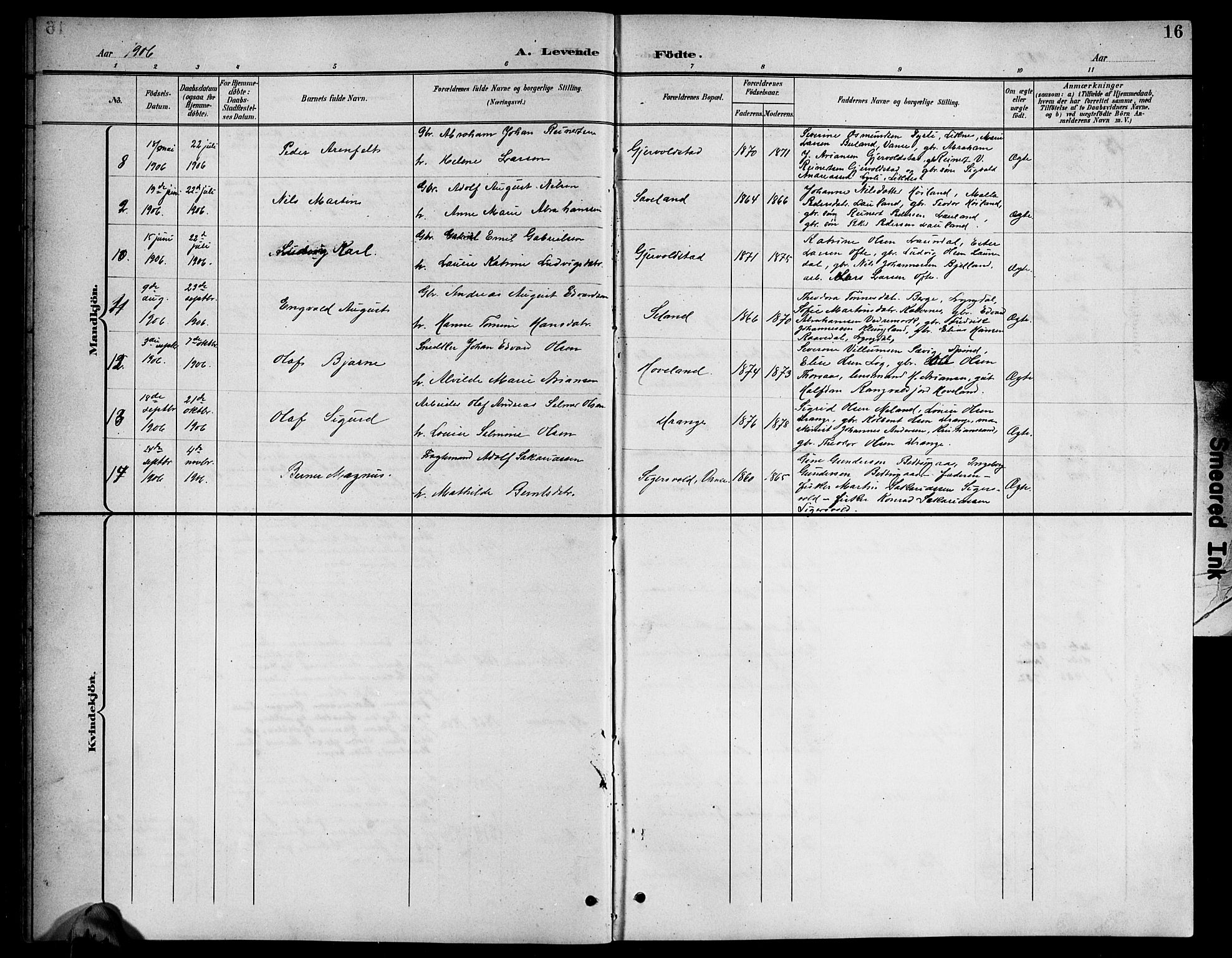 Herad sokneprestkontor, AV/SAK-1111-0018/F/Fb/Fba/L0005: Parish register (copy) no. B 5, 1899-1921, p. 16