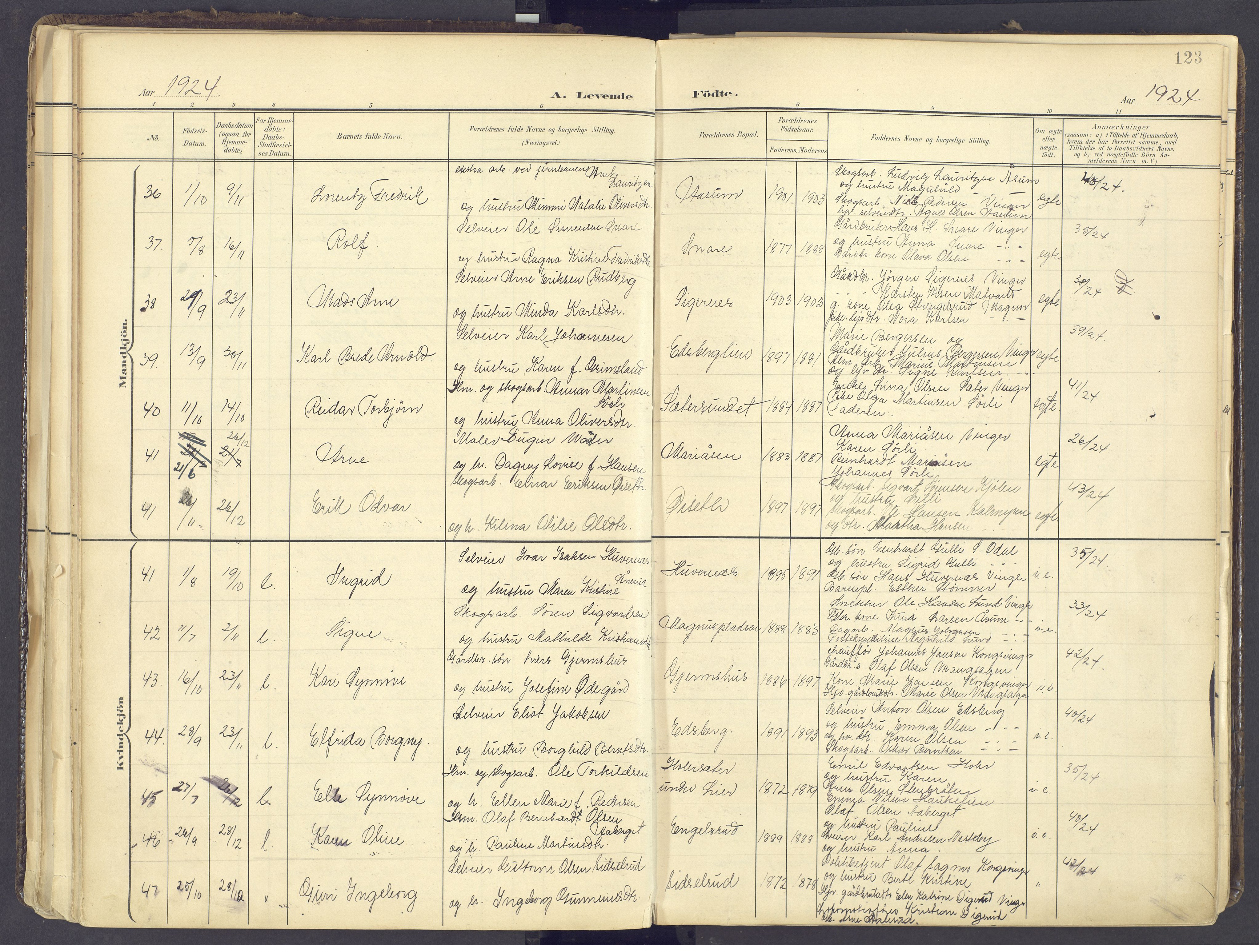 Vinger prestekontor, AV/SAH-PREST-024/H/Ha/Haa/L0017: Parish register (official) no. 17, 1901-1927, p. 123