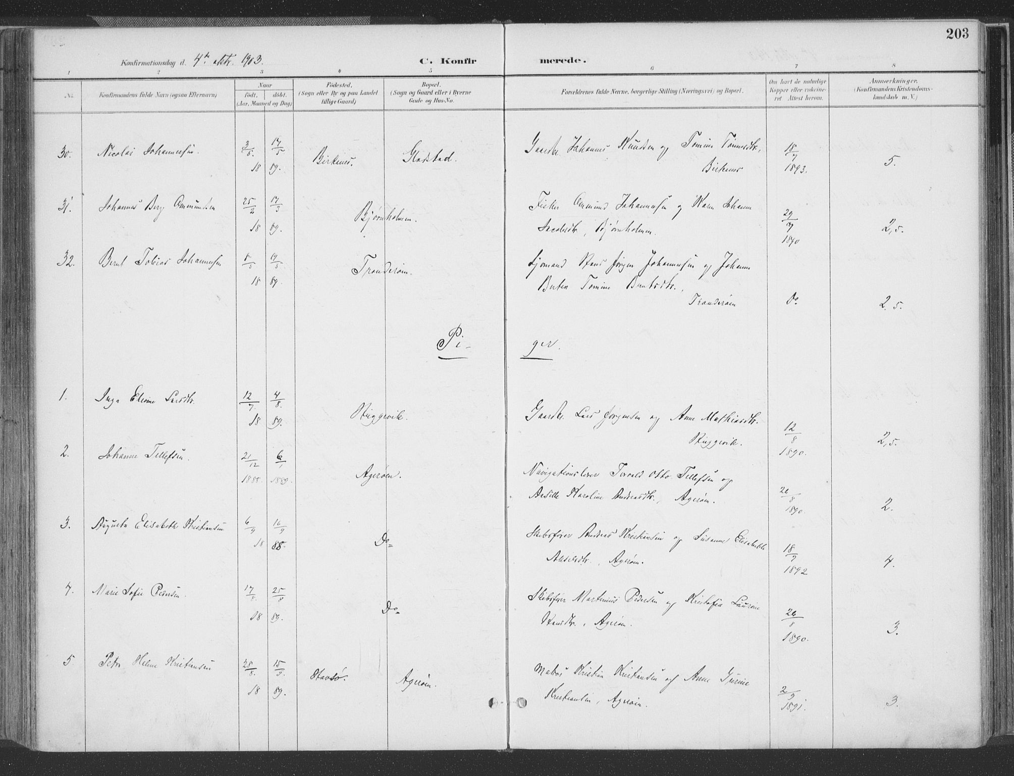 Høvåg sokneprestkontor, AV/SAK-1111-0025/F/Fa/L0006: Parish register (official) no. A 6, 1894-1923, p. 203