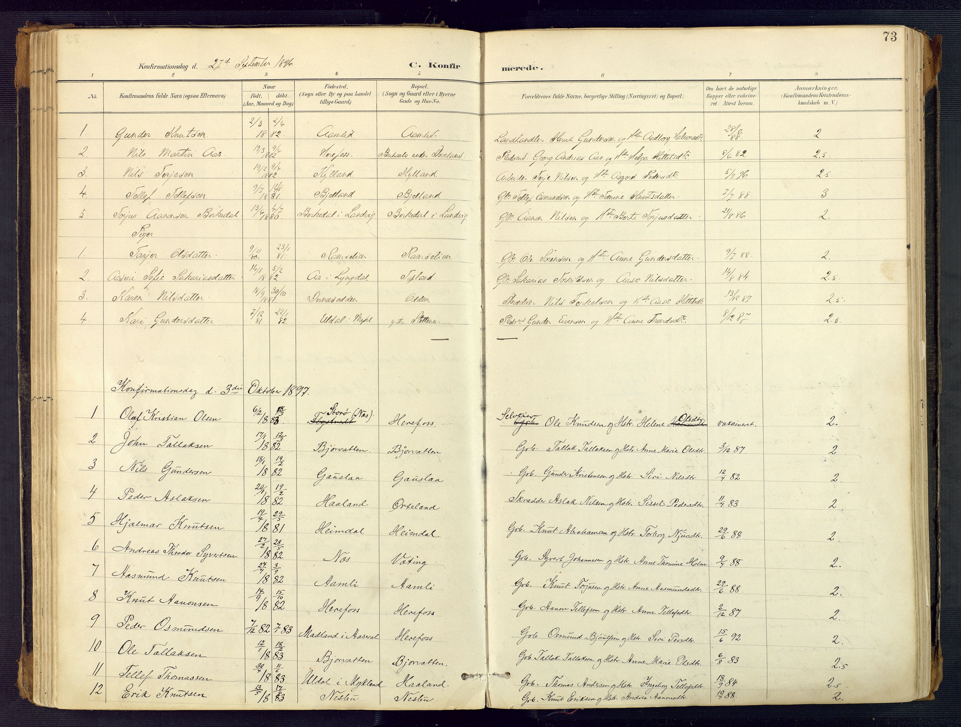 Herefoss sokneprestkontor, SAK/1111-0019/F/Fa/Faa/L0003: Parish register (official) no. A 3, 1887-1930, p. 73