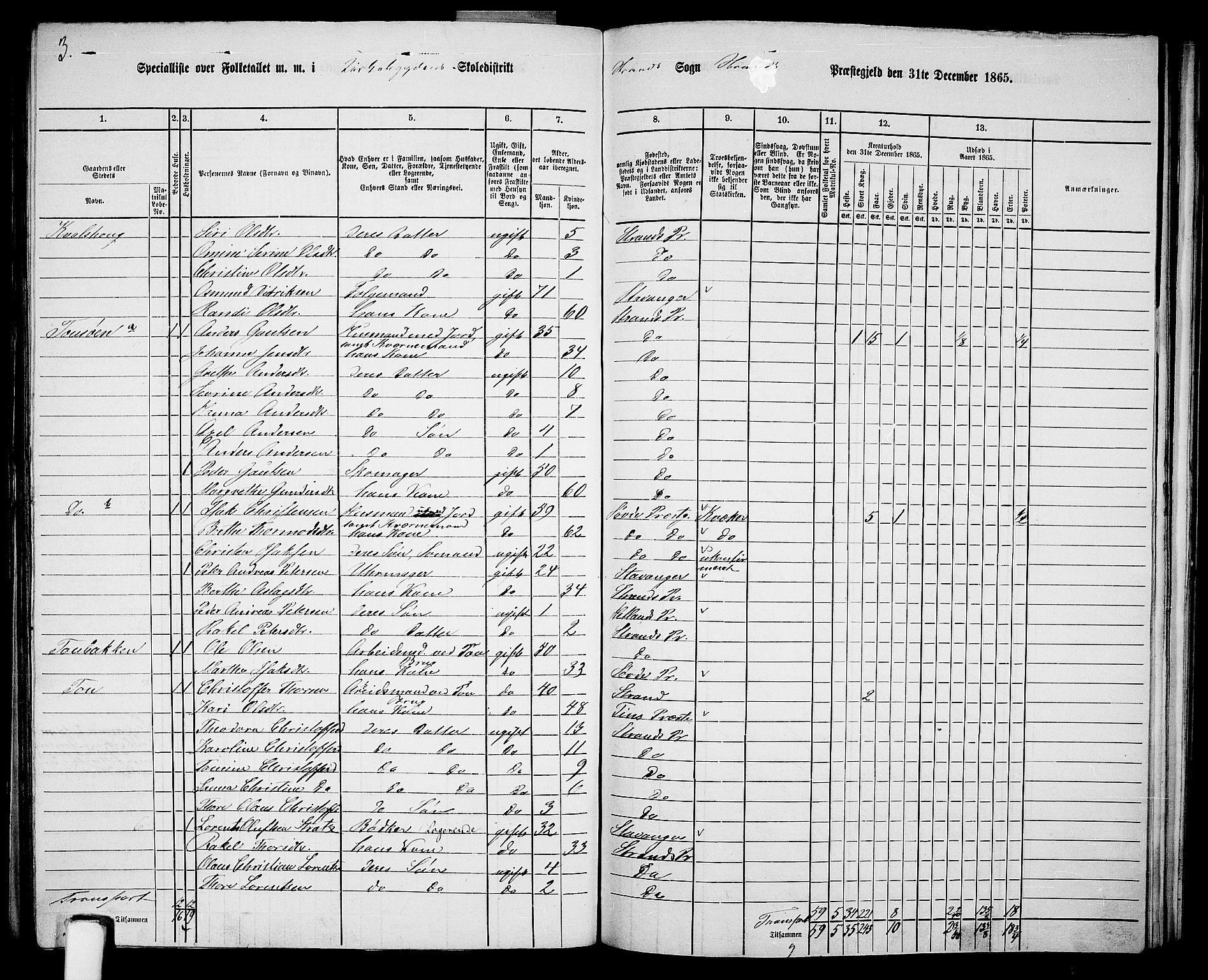 RA, 1865 census for Strand, 1865, p. 42