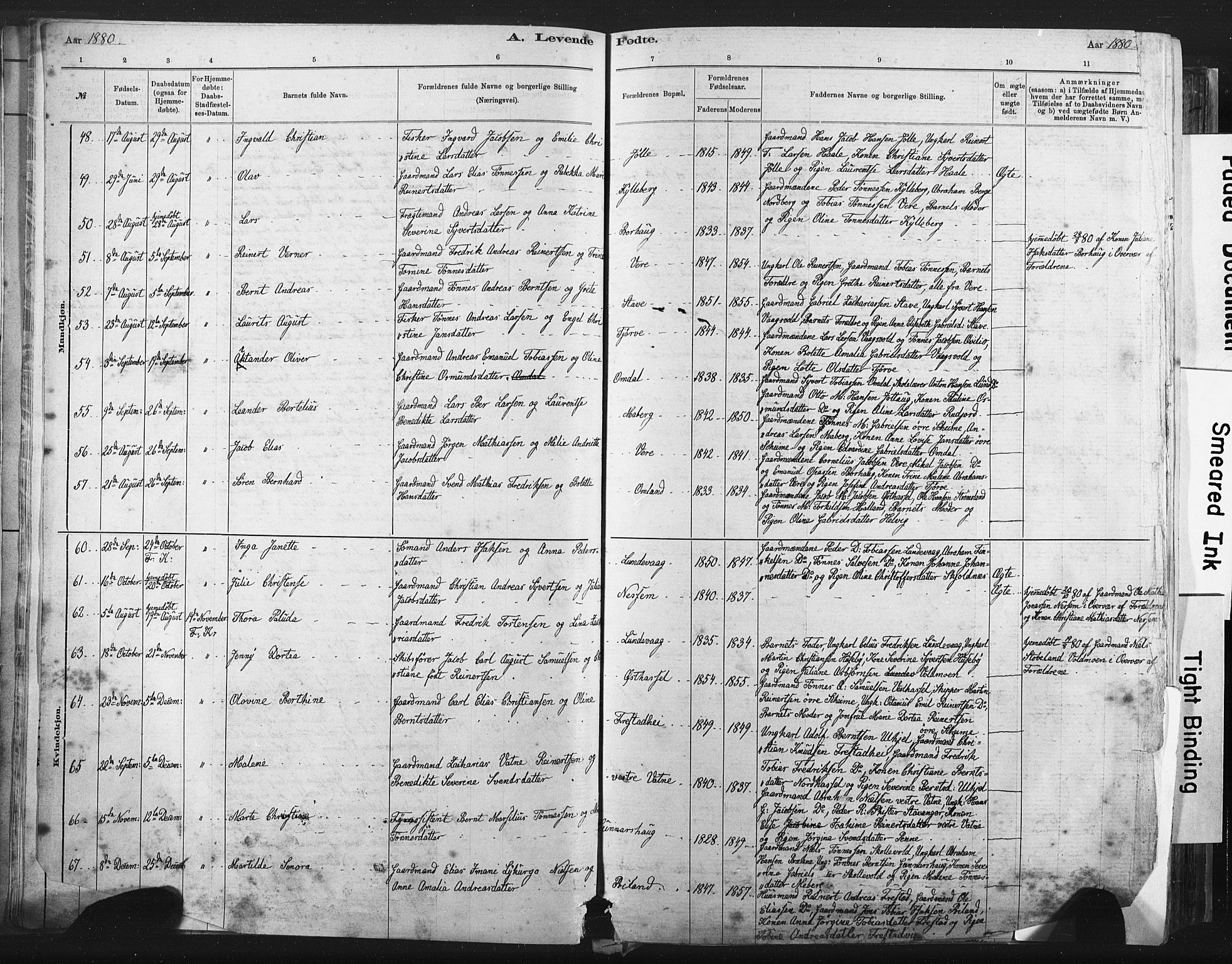 Lista sokneprestkontor, AV/SAK-1111-0027/F/Fa/L0012: Parish register (official) no. A 12, 1879-1903, p. 19