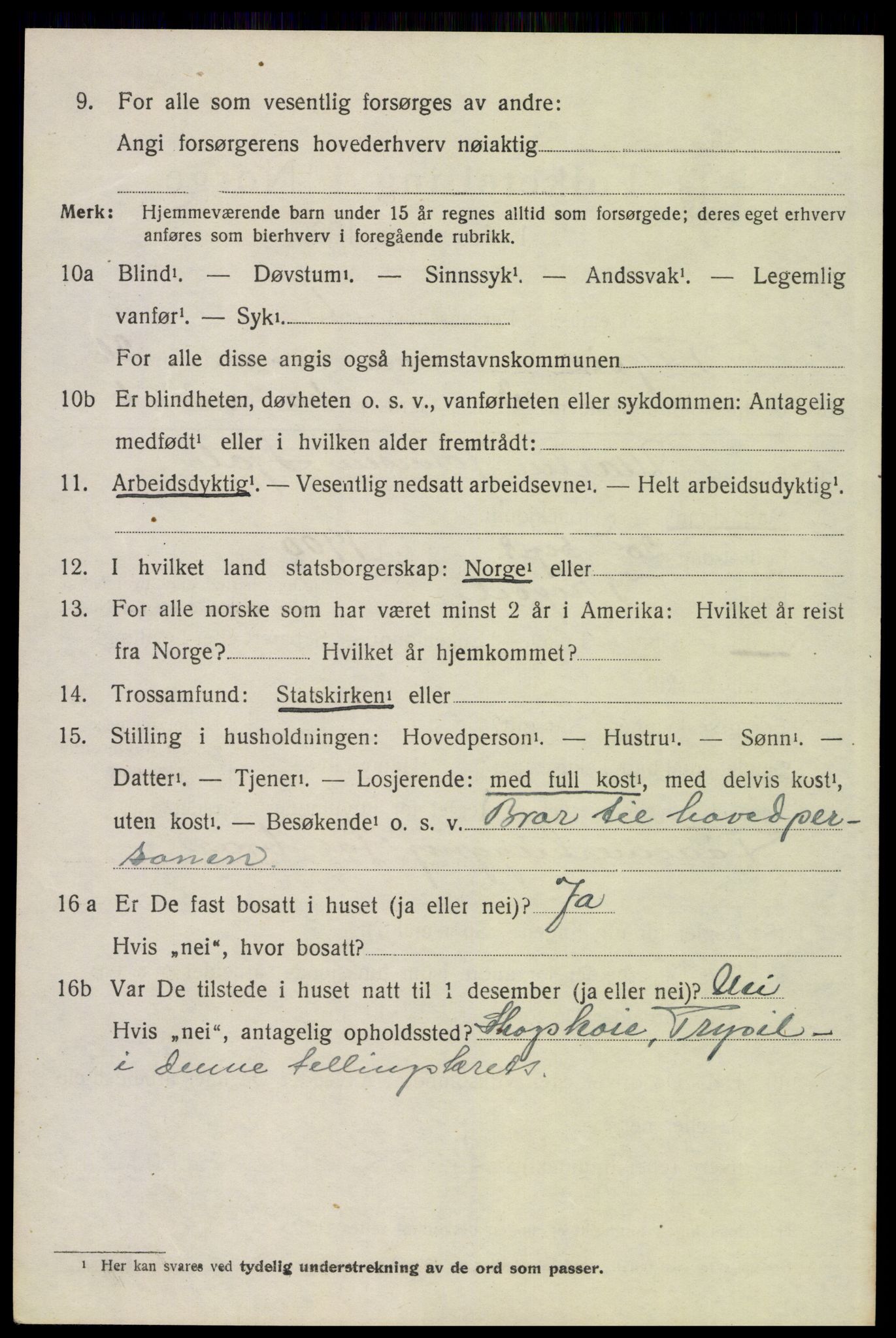 SAH, 1920 census for Trysil, 1920, p. 16154