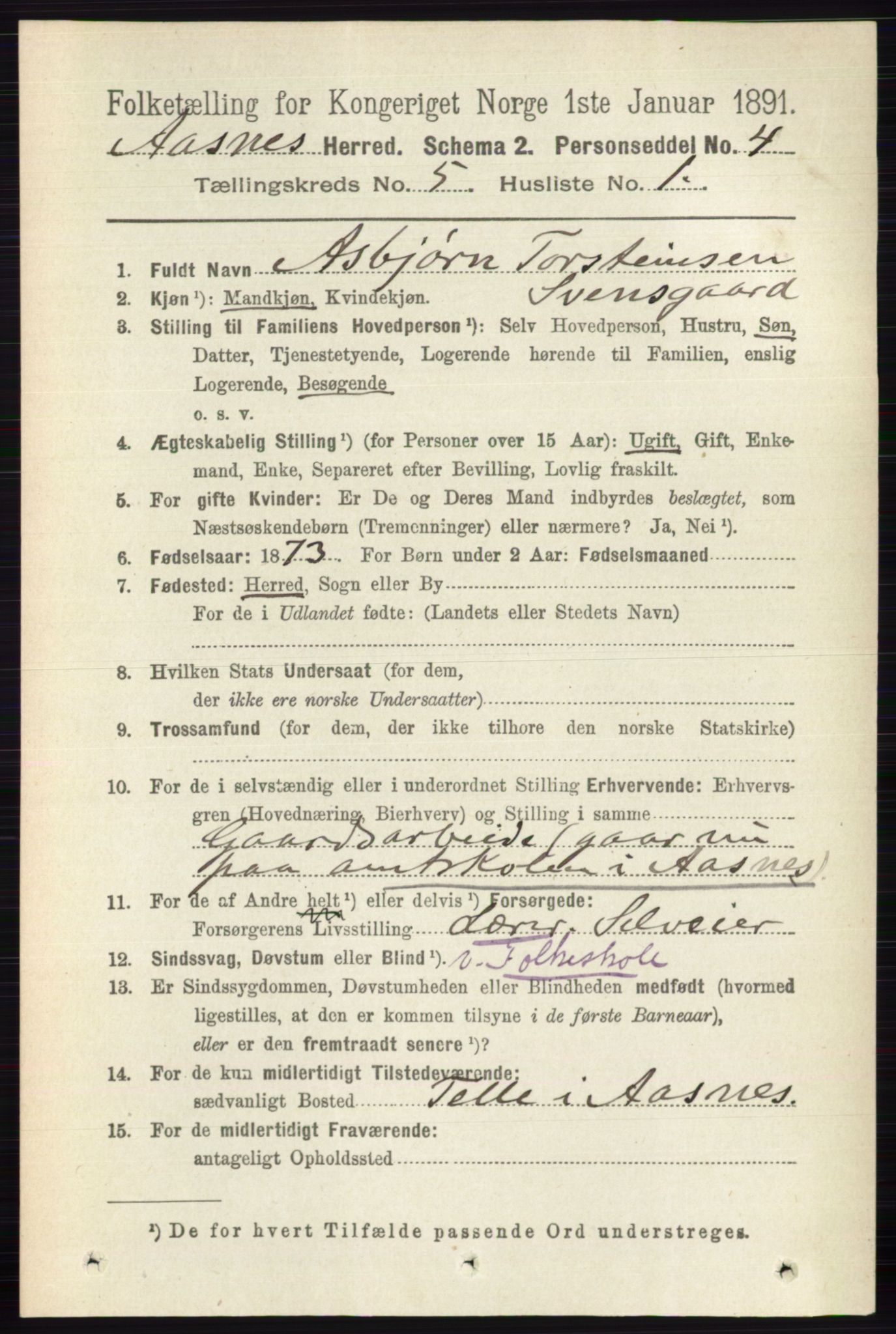 RA, 1891 census for 0425 Åsnes, 1891, p. 2433