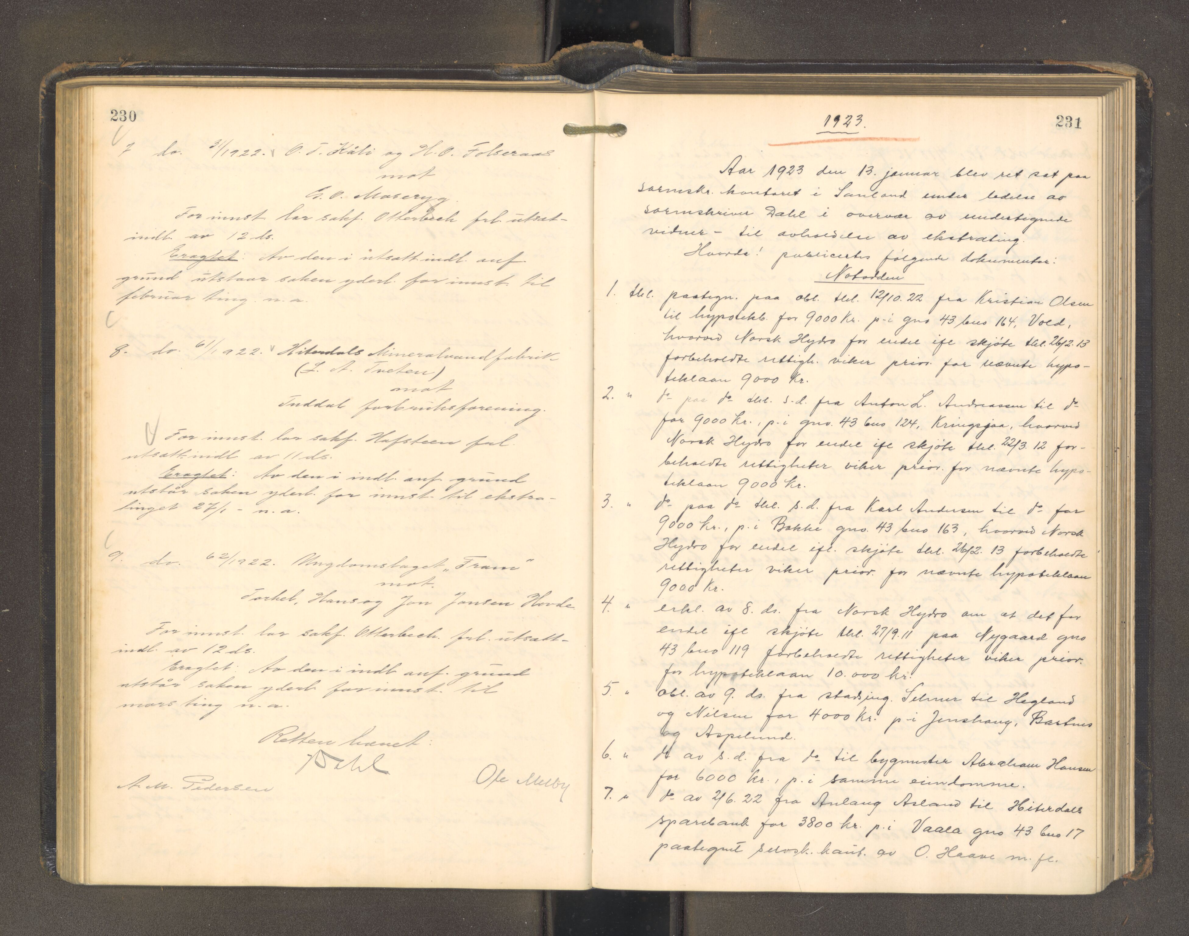 Heddal sorenskriveri, AV/SAKO-A-211/F/Fa/Faa/L0001: Tingbok, 1922-1924, p. 230-231