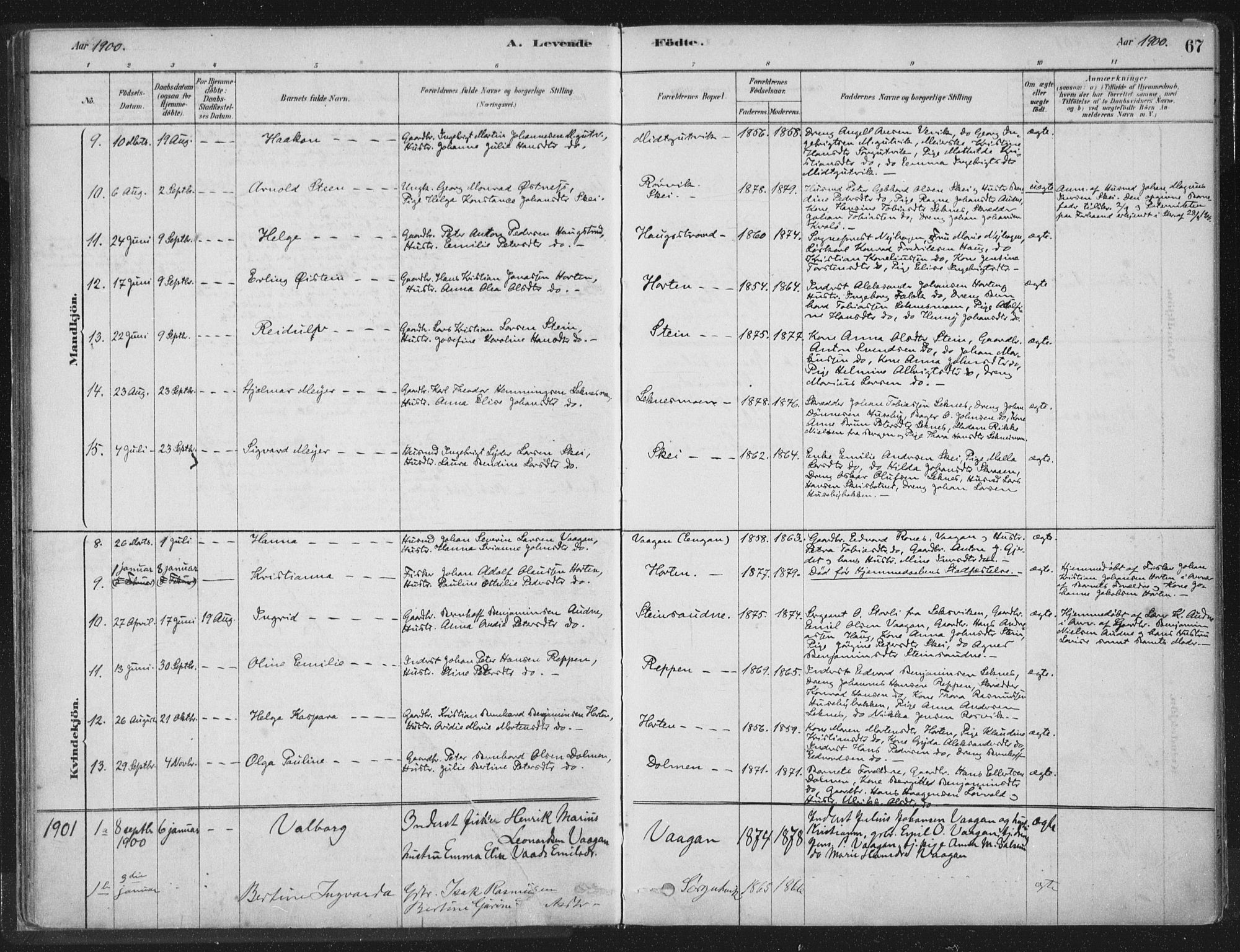 Ministerialprotokoller, klokkerbøker og fødselsregistre - Nord-Trøndelag, SAT/A-1458/788/L0697: Parish register (official) no. 788A04, 1878-1902, p. 67