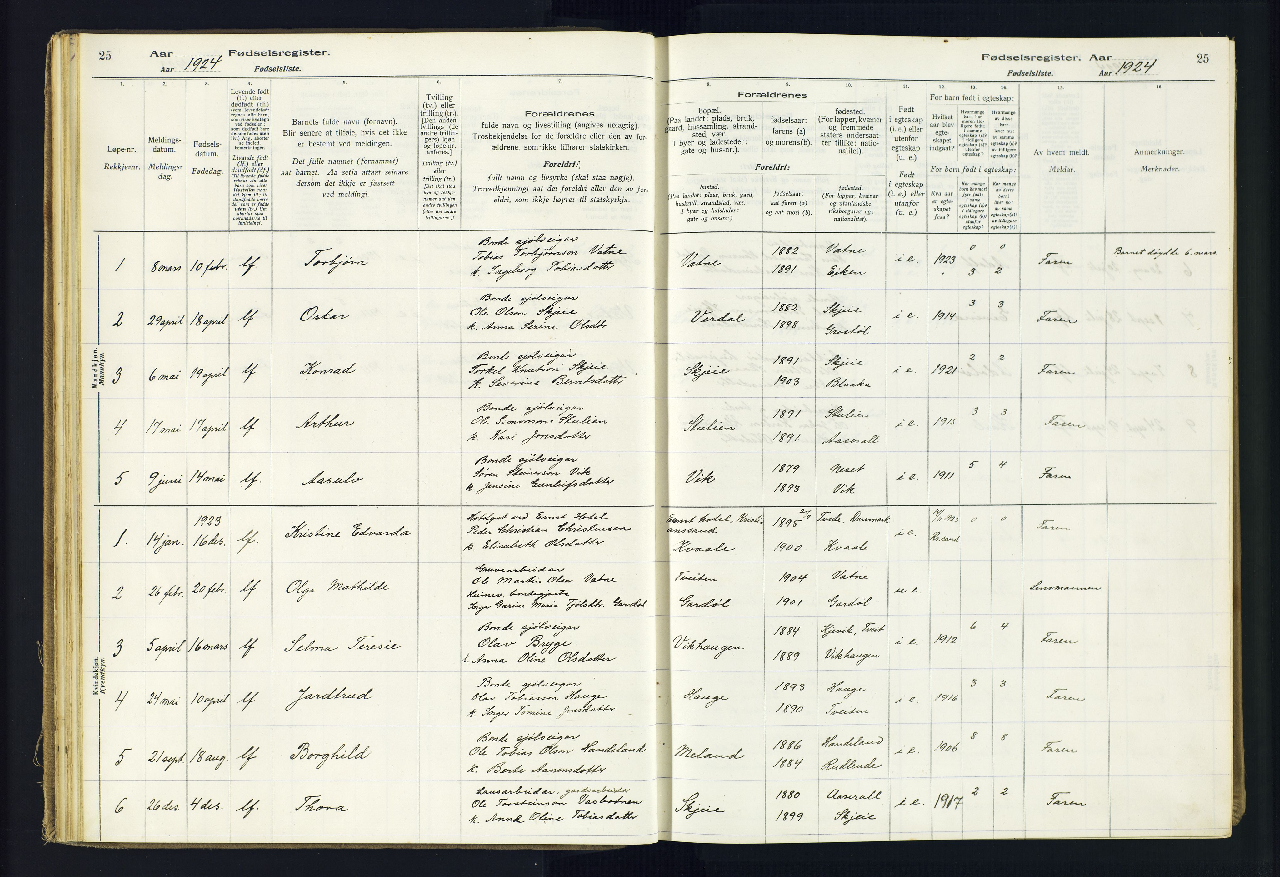 Hægebostad sokneprestkontor, AV/SAK-1111-0024/J/Ja/L0002: Birth register no. II.6.8, 1916-1982, p. 25