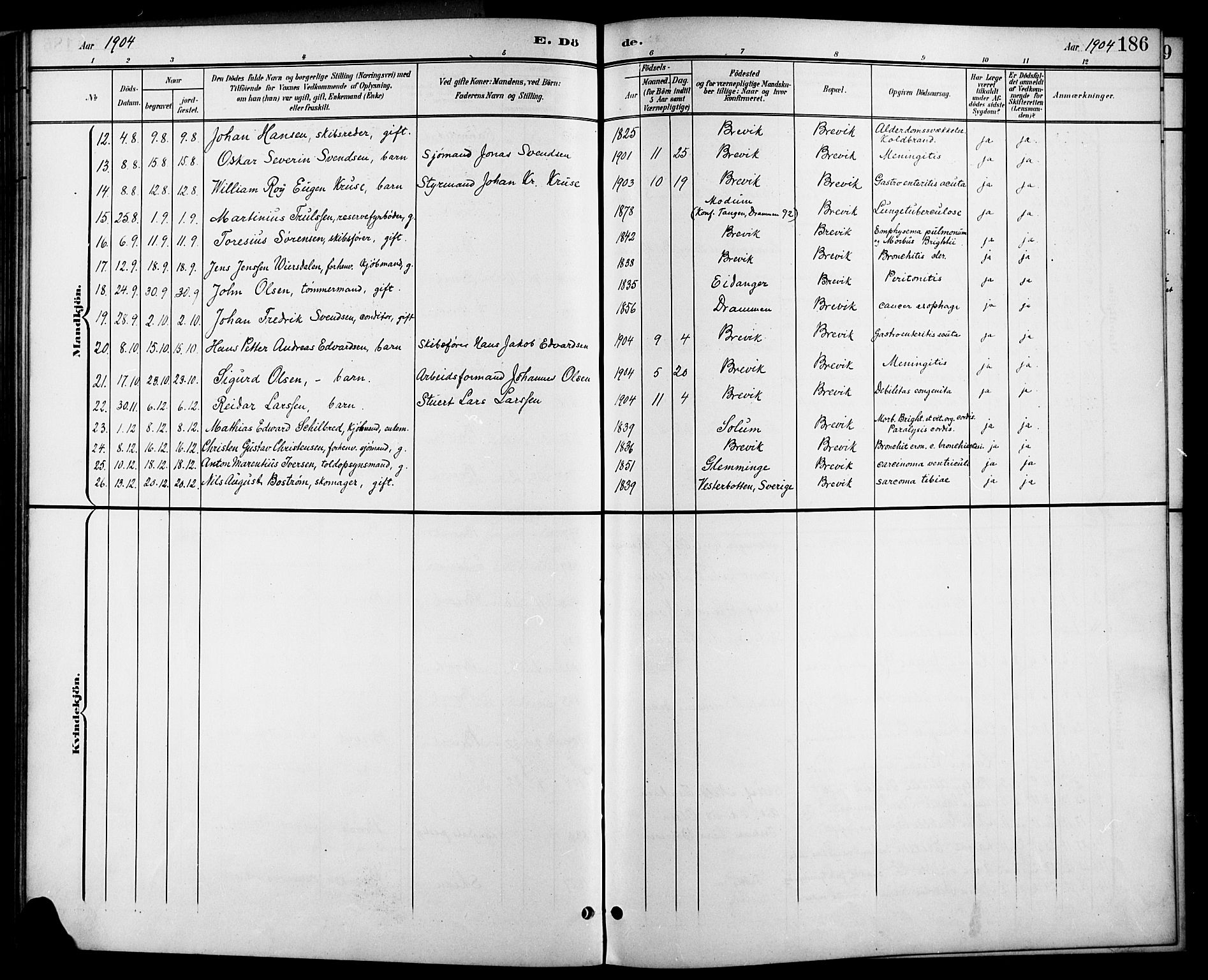 Brevik kirkebøker, SAKO/A-255/G/Ga/L0005: Parish register (copy) no. 5, 1901-1924, p. 186