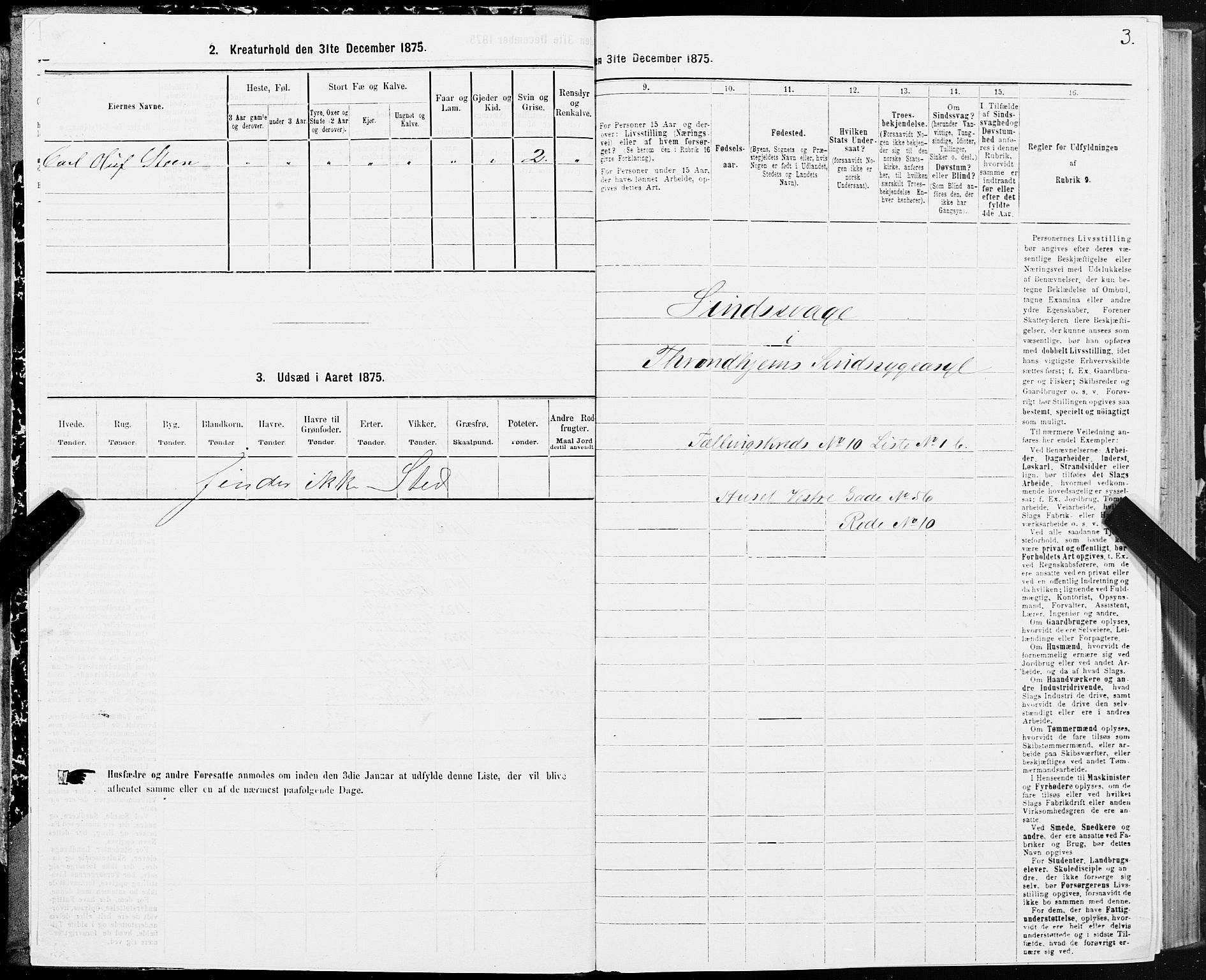 SAT, 1875 census for 1601 Trondheim, 1875, p. 6003