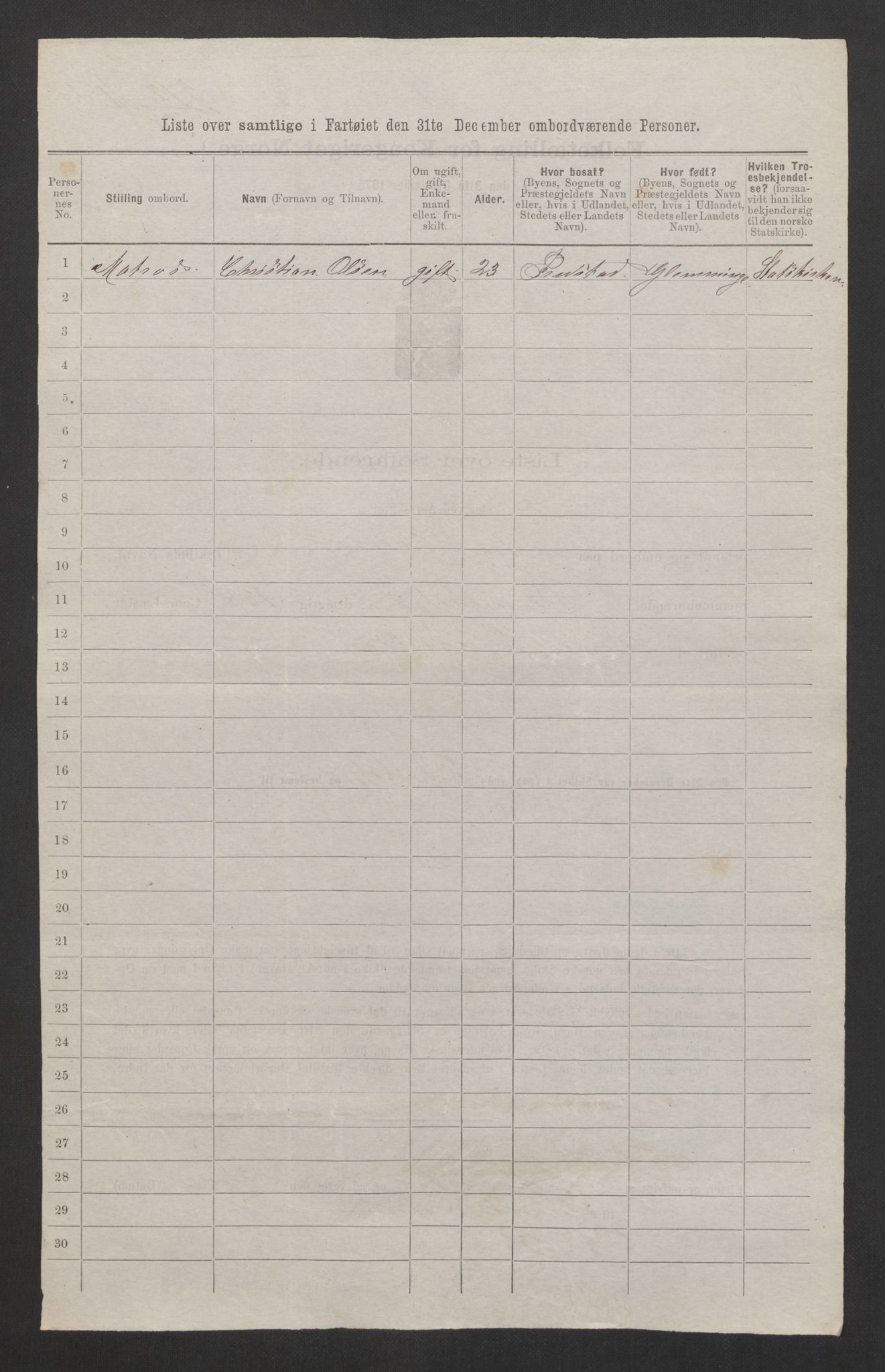 RA, 1875 census, lists of crew on ships: Ships in domestic ports, 1875, p. 29