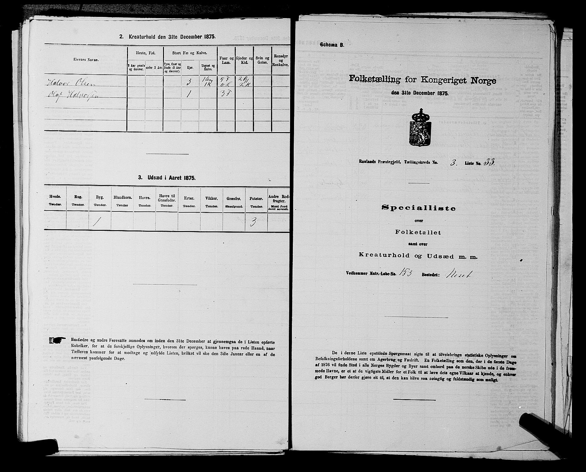 SAKO, 1875 census for 0835P Rauland, 1875, p. 218