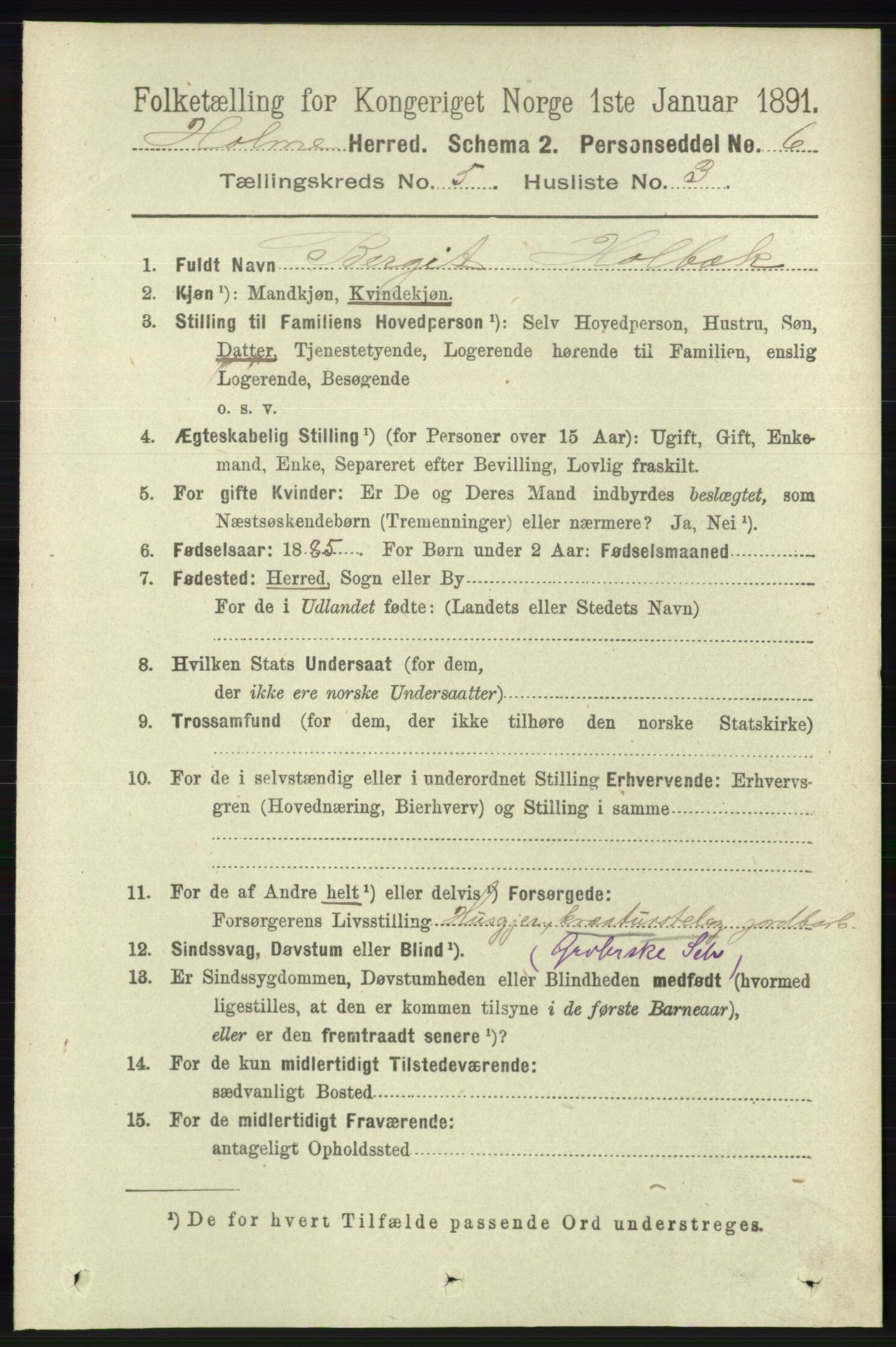 RA, 1891 census for 1020 Holum, 1891, p. 1249