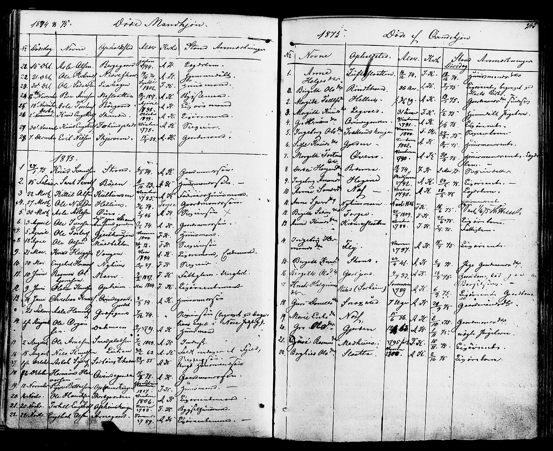 Ål kirkebøker, AV/SAKO-A-249/F/Fa/L0007: Parish register (official) no. I 7, 1865-1881, p. 245