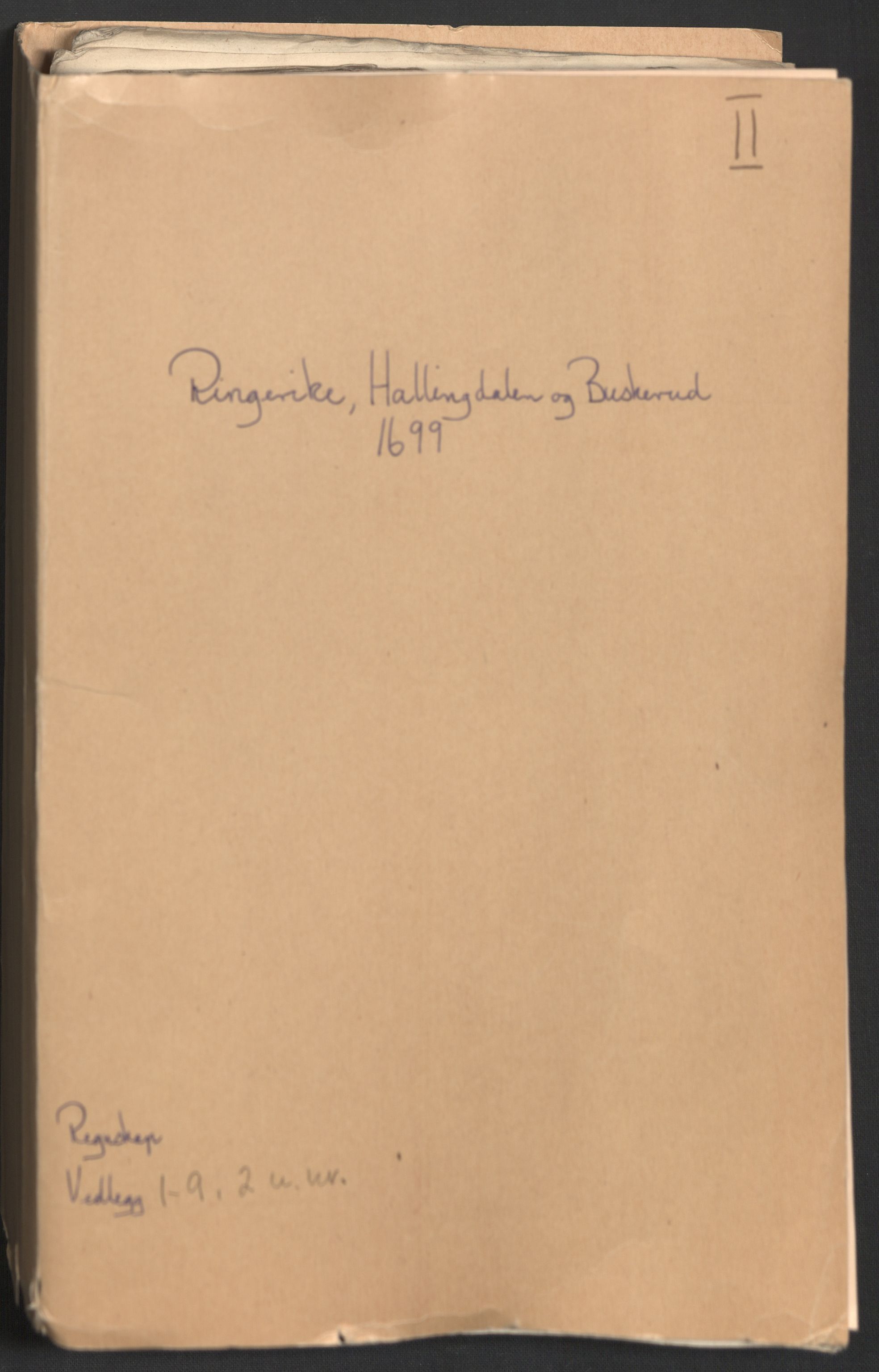 Rentekammeret inntil 1814, Reviderte regnskaper, Fogderegnskap, RA/EA-4092/R22/L1456: Fogderegnskap Ringerike, Hallingdal og Buskerud, 1699, p. 2