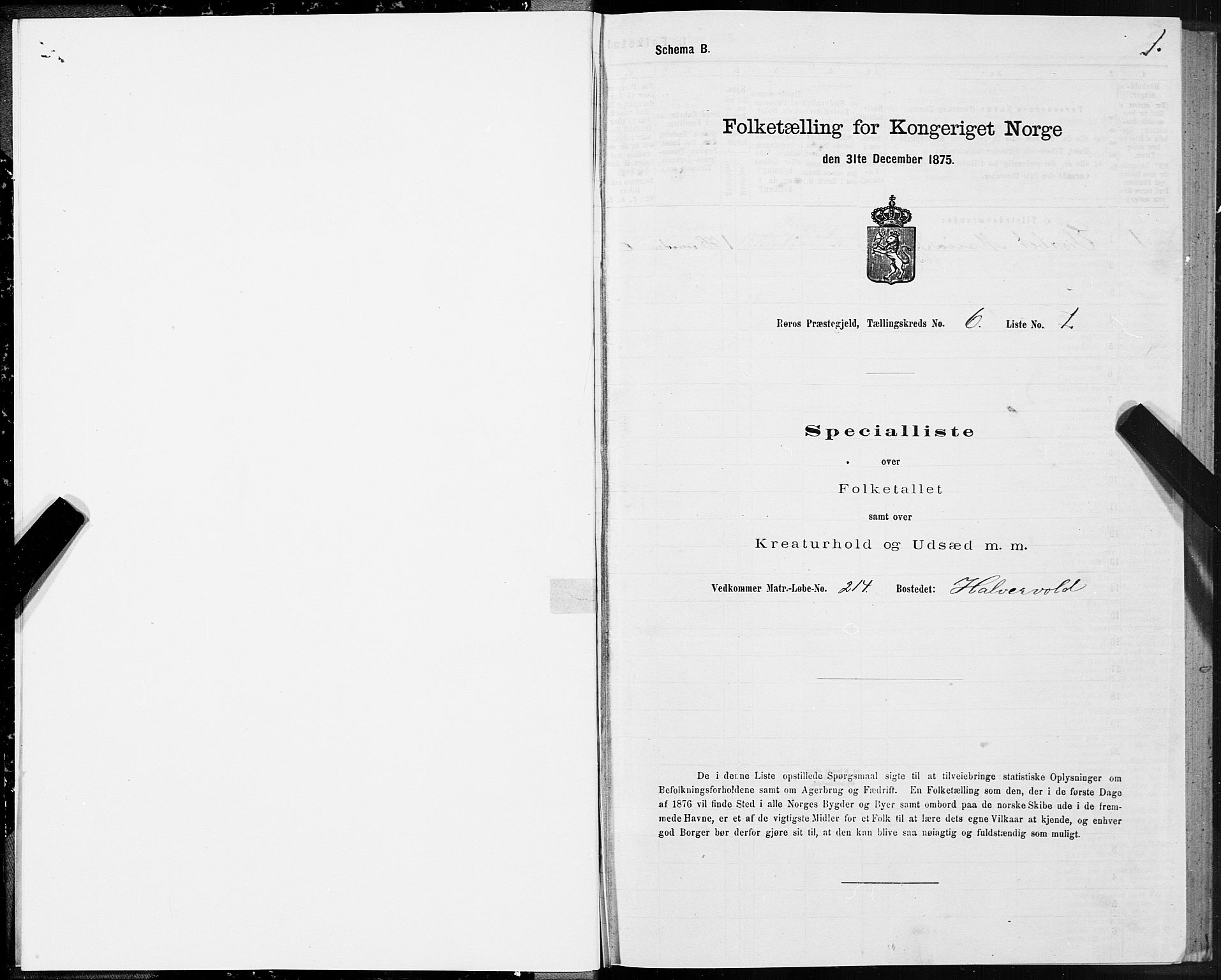 SAT, 1875 census for 1640P Røros, 1875, p. 4001