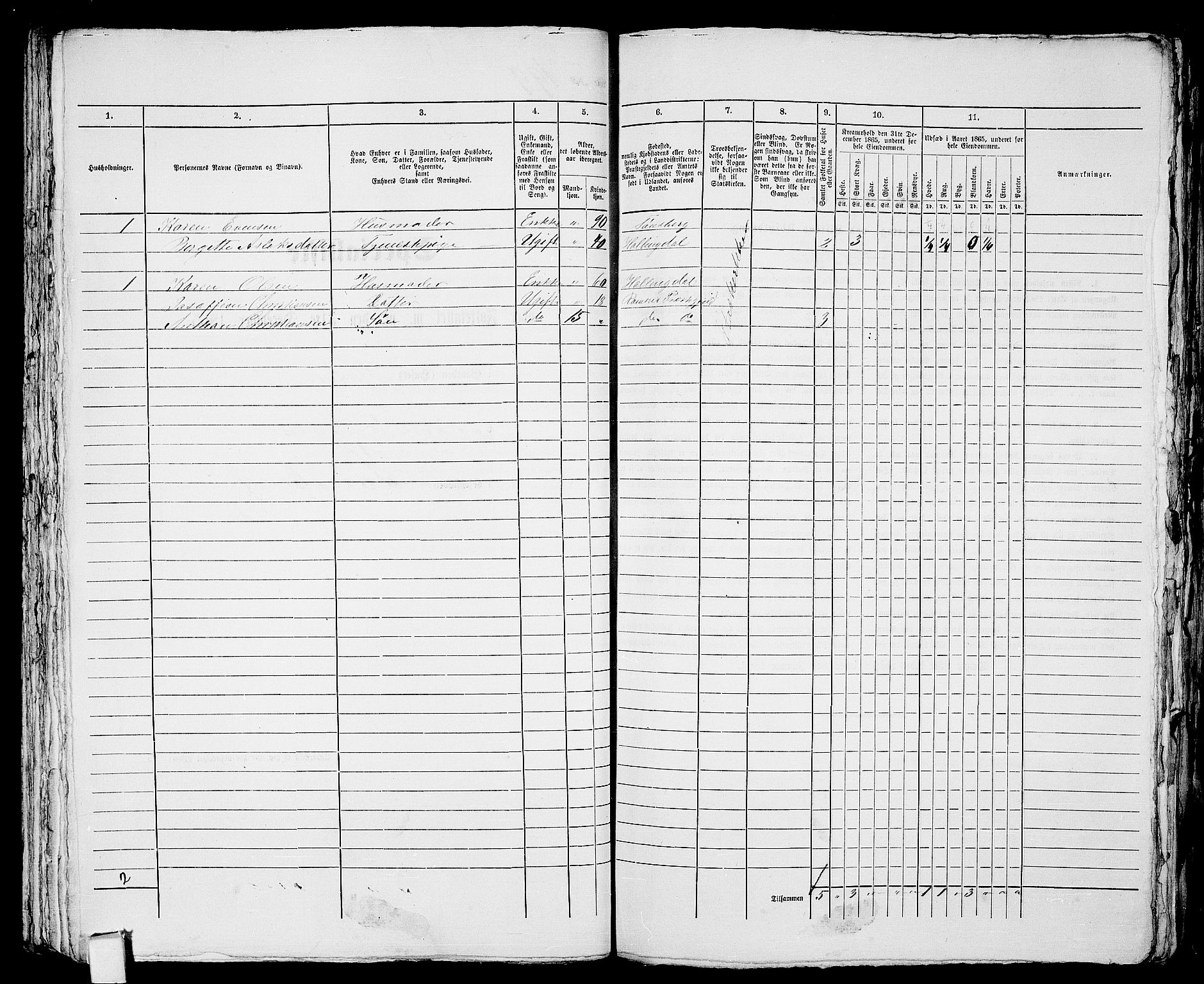 RA, 1865 census for Tønsberg, 1865, p. 433