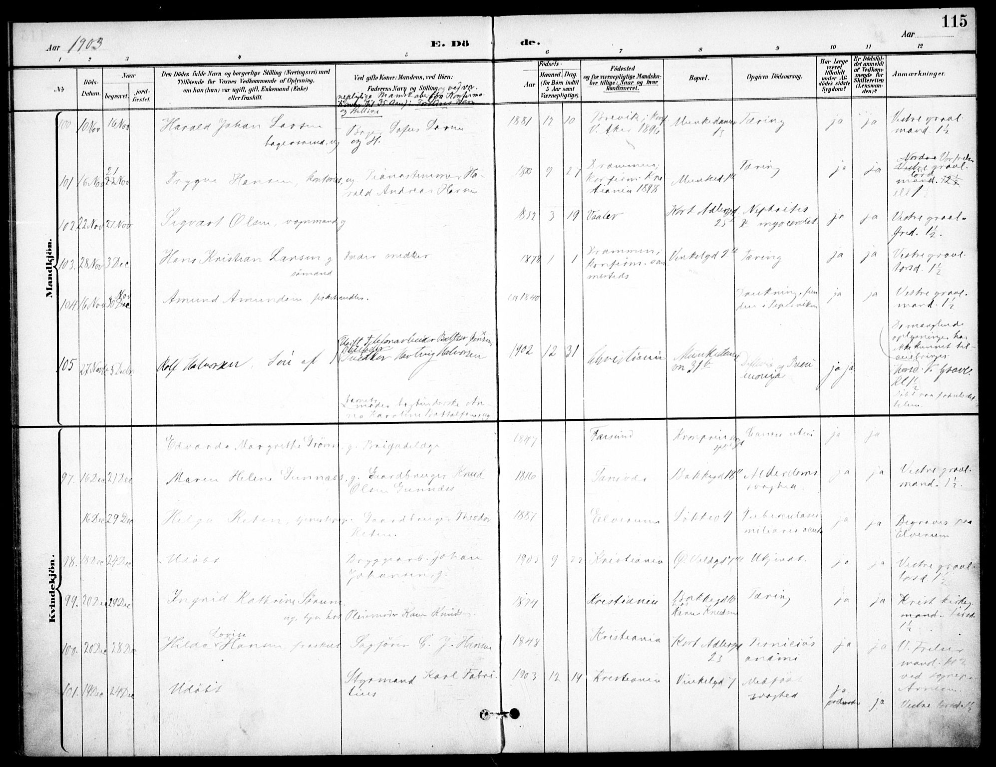 Johannes prestekontor Kirkebøker, SAO/A-10852/F/Fa/L0008: Parish register (official) no. 8, 1897-1917, p. 115