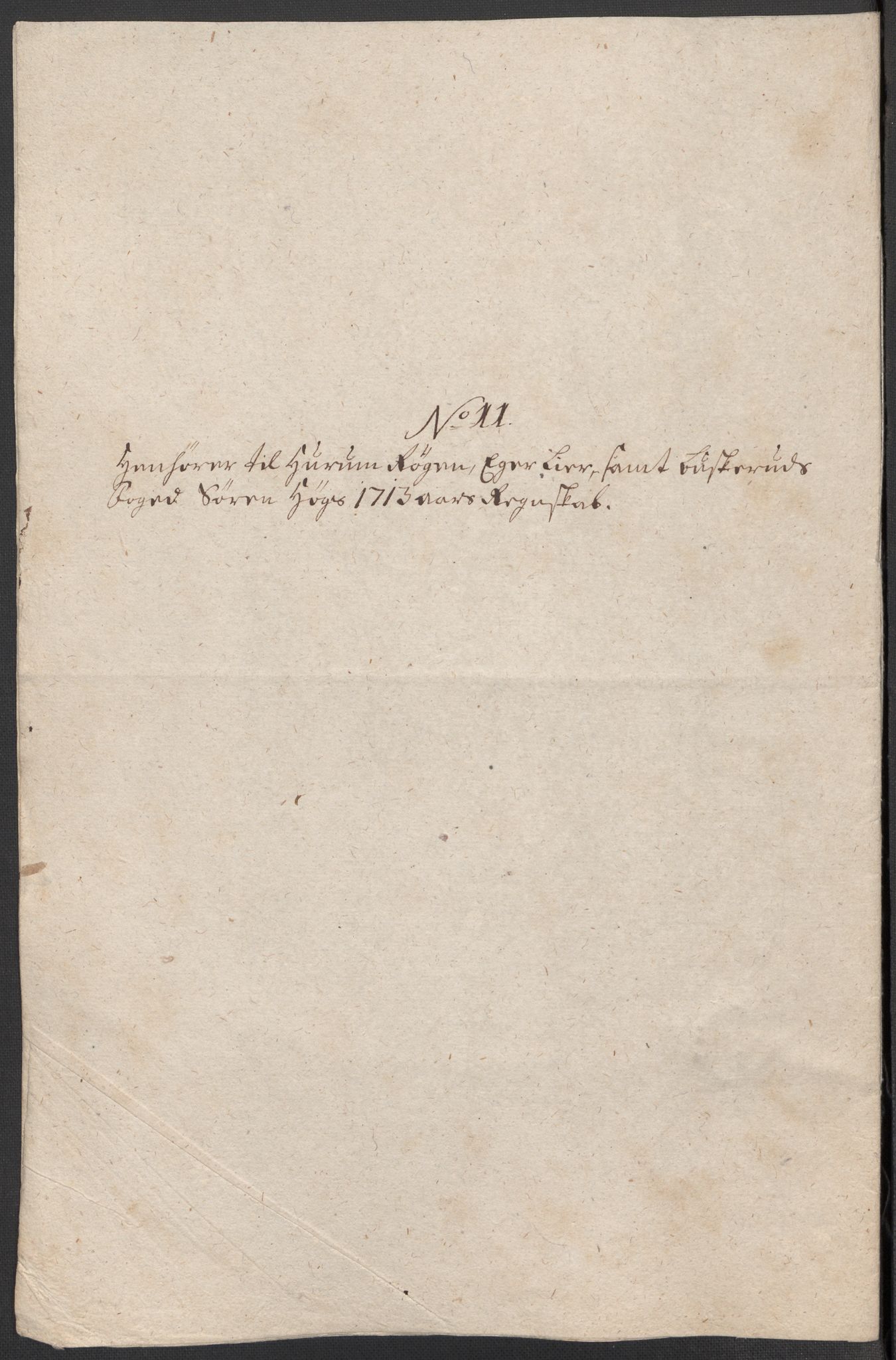 Rentekammeret inntil 1814, Reviderte regnskaper, Fogderegnskap, RA/EA-4092/R31/L1708: Fogderegnskap Hurum, Røyken, Eiker, Lier og Buskerud, 1713, p. 289