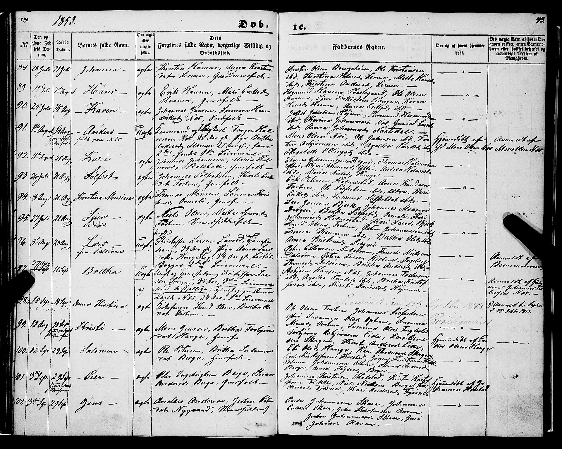 Luster sokneprestembete, AV/SAB-A-81101/H/Haa/Haaa/L0007: Parish register (official) no. A 7, 1849-1859, p. 43