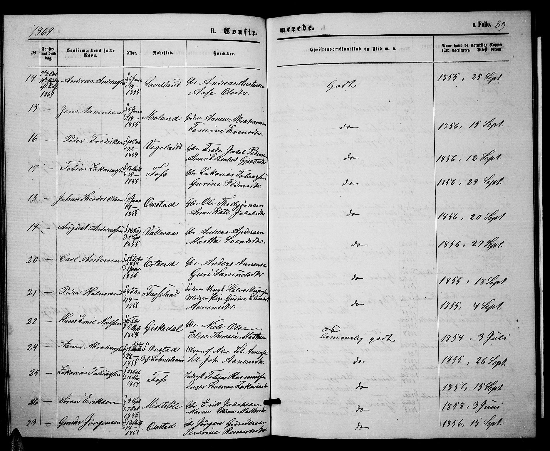 Sør-Audnedal sokneprestkontor, AV/SAK-1111-0039/F/Fb/Fbb/L0004: Parish register (copy) no. B 4, 1868-1879, p. 89