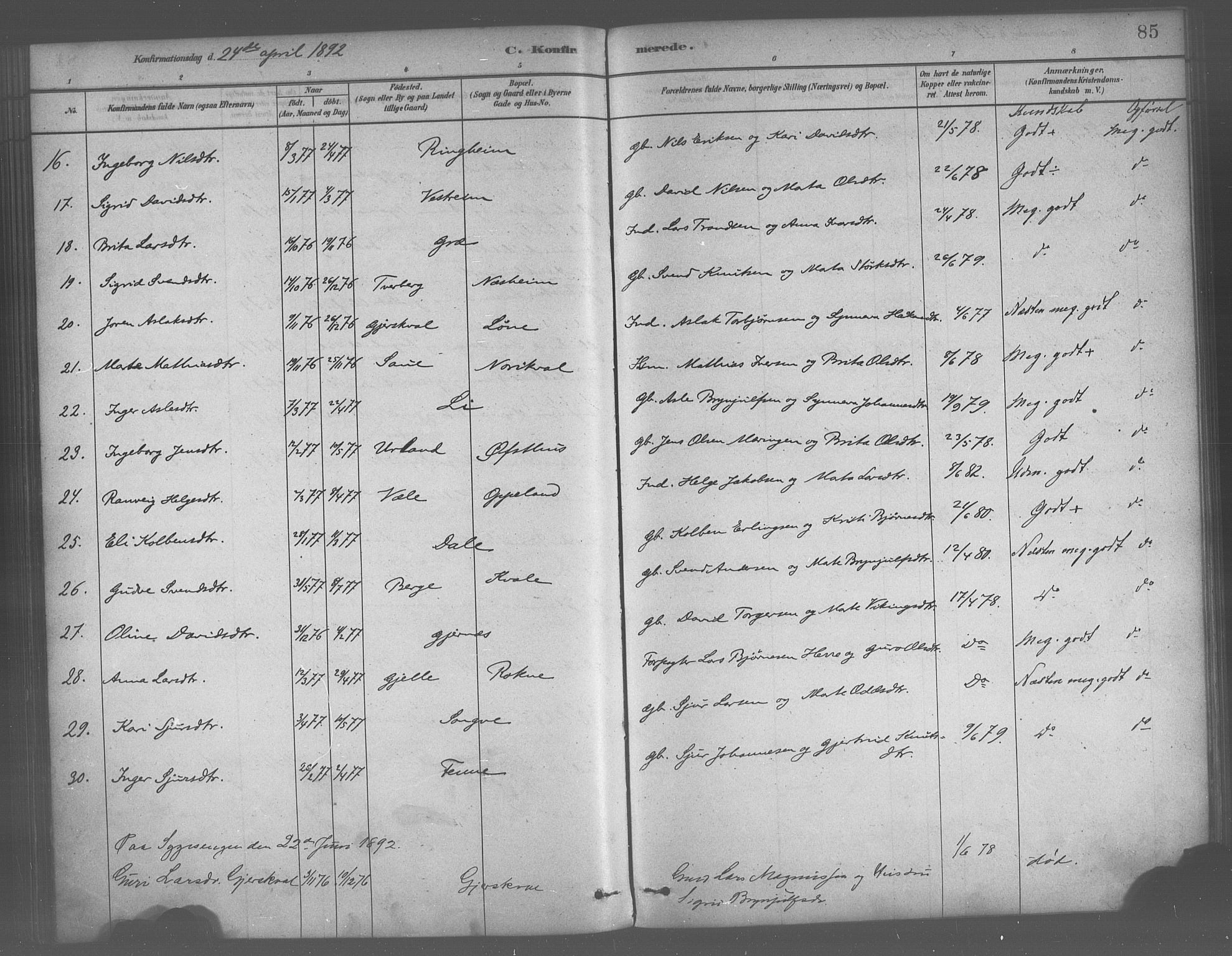 Voss sokneprestembete, AV/SAB-A-79001/H/Haa: Parish register (official) no. B 1, 1877-1899, p. 85