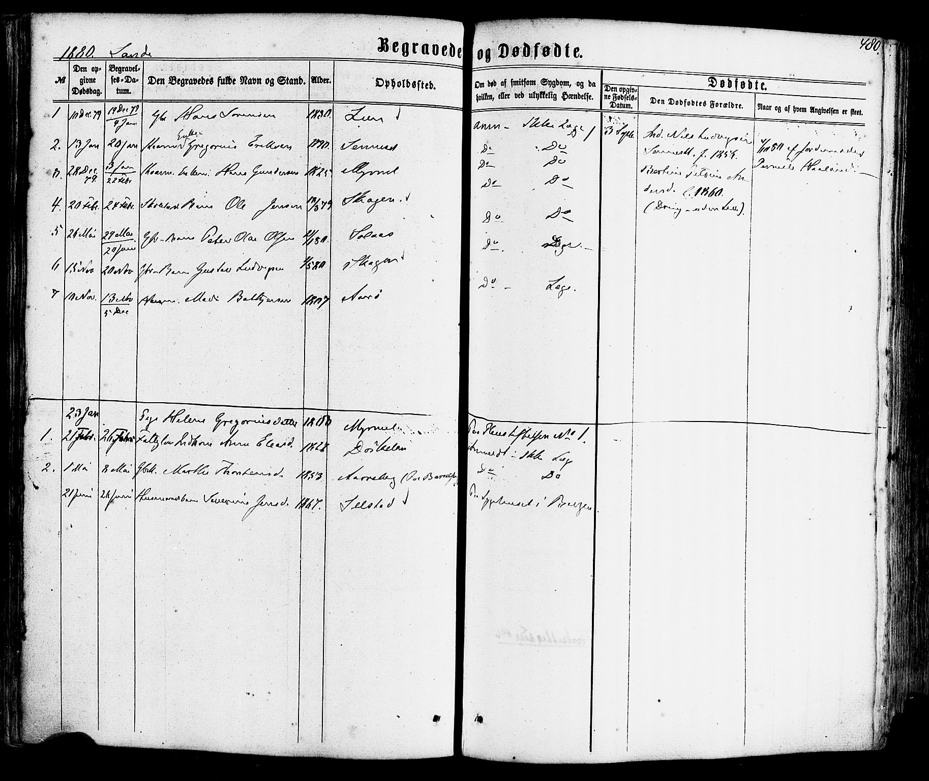 Gaular sokneprestembete, AV/SAB-A-80001/H/Haa: Parish register (official) no. A 5, 1860-1881, p. 480