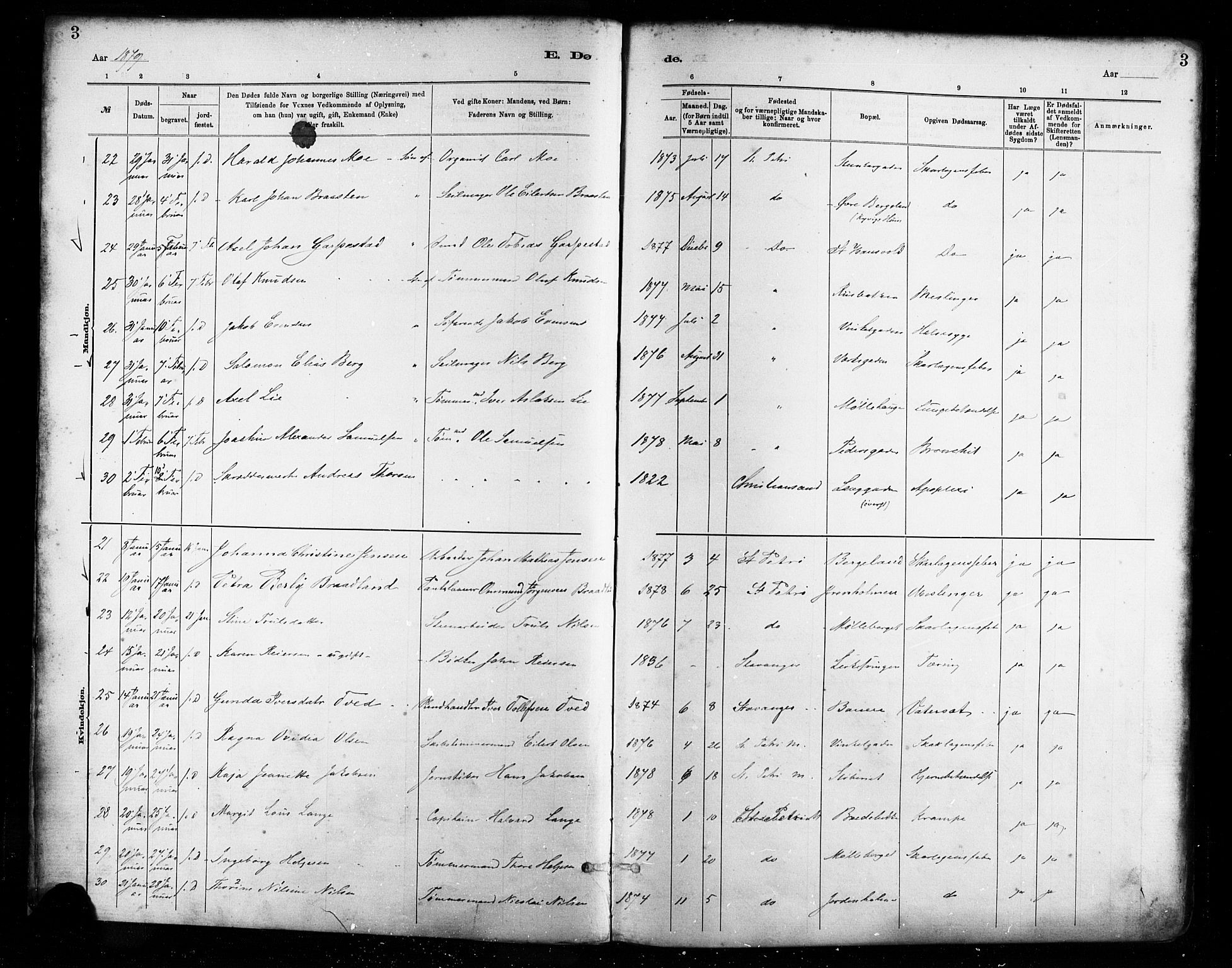 St. Petri sokneprestkontor, AV/SAST-A-101813/001/30/30BA/L0017: Parish register (official) no. A 17, 1879-1895, p. 3