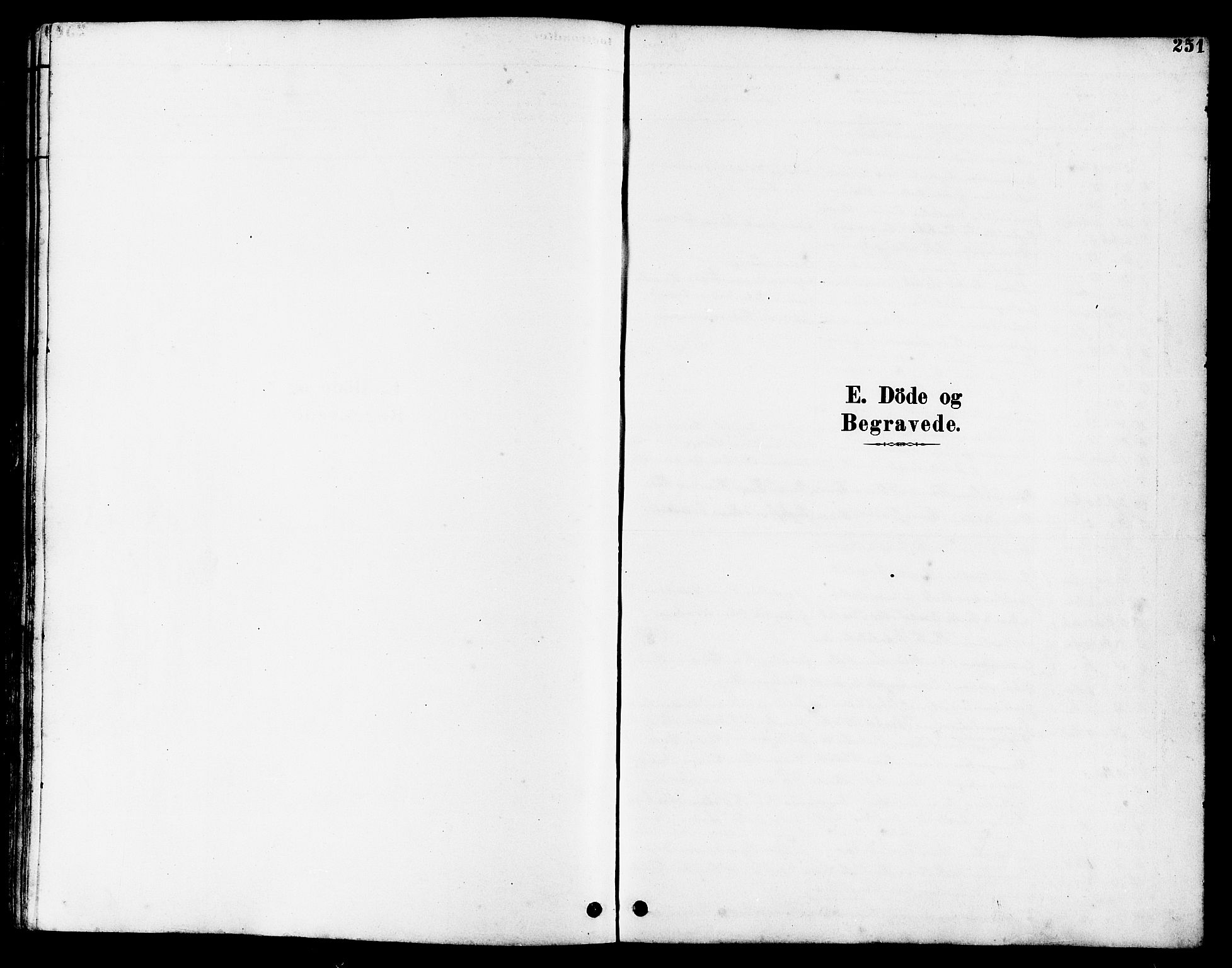 Hetland sokneprestkontor, SAST/A-101826/30/30BB/L0005: Parish register (copy) no. B 5, 1878-1910, p. 251