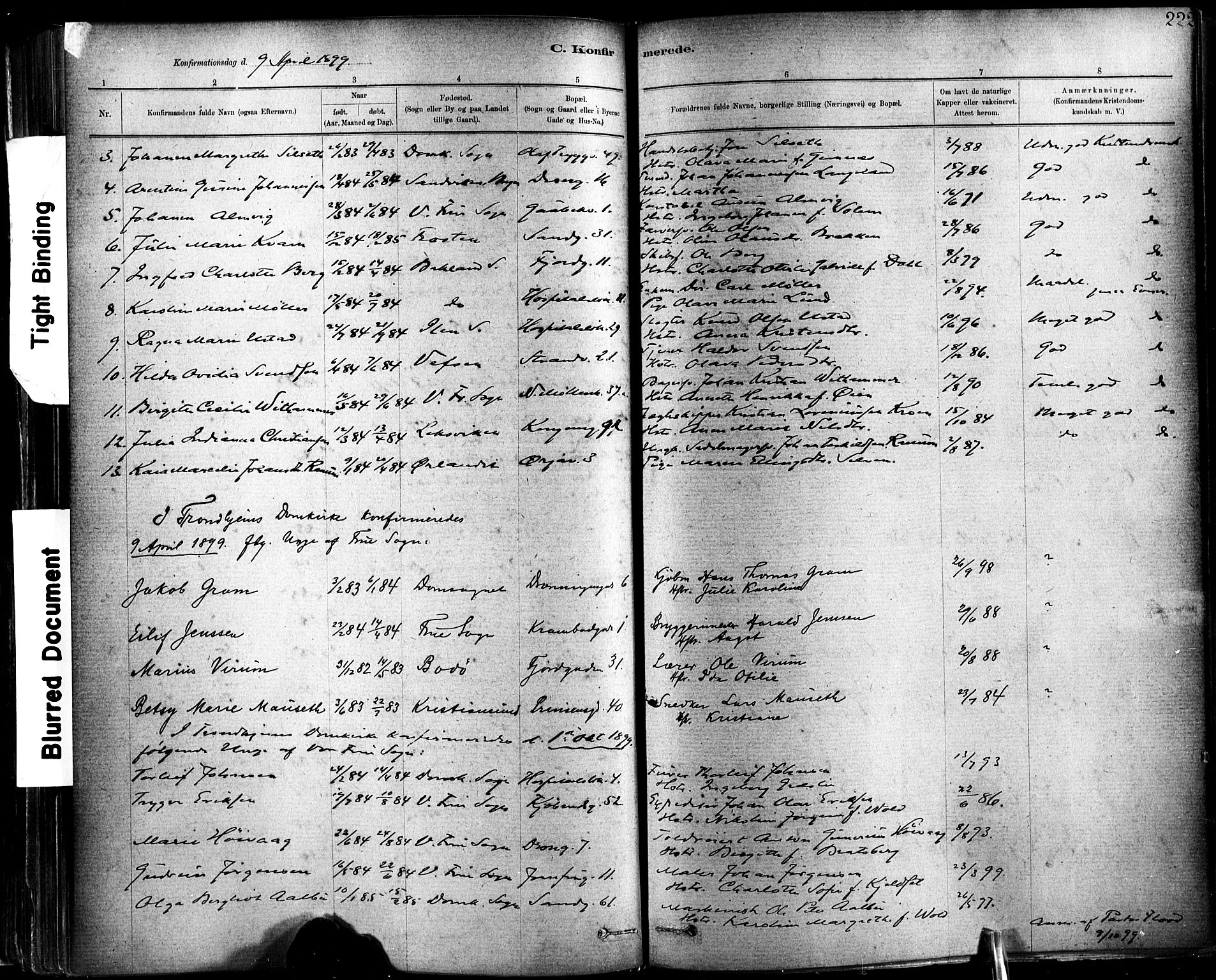 Ministerialprotokoller, klokkerbøker og fødselsregistre - Sør-Trøndelag, SAT/A-1456/602/L0119: Parish register (official) no. 602A17, 1880-1901, p. 222