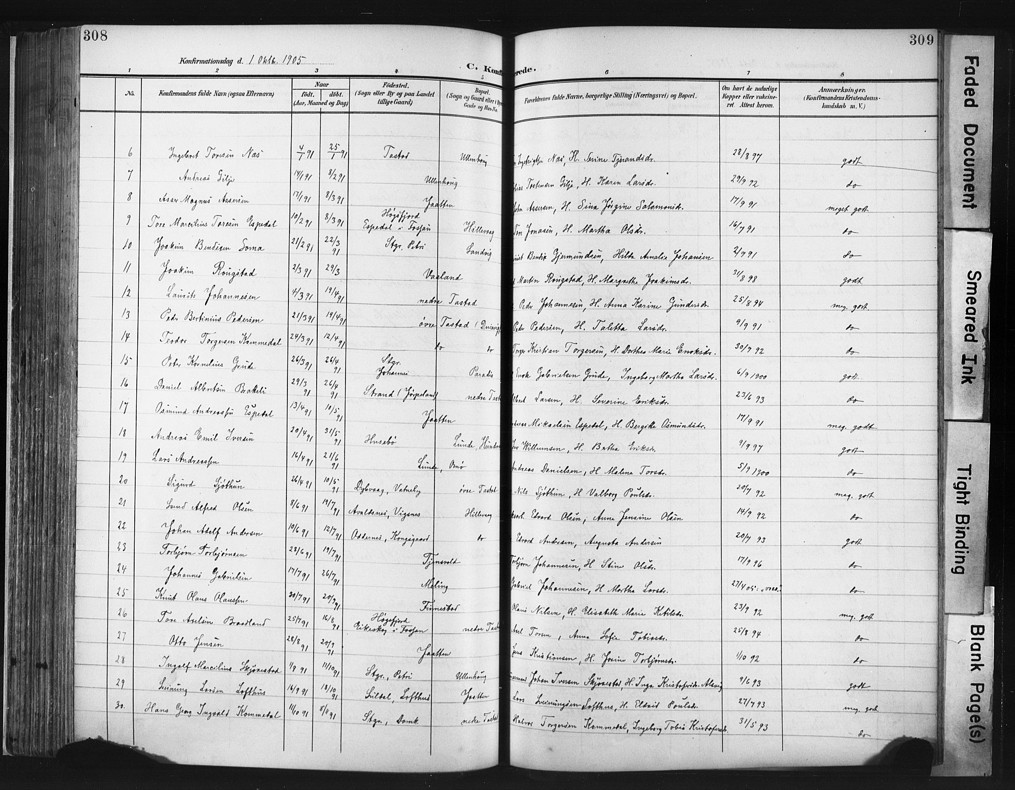 Hetland sokneprestkontor, SAST/A-101826/30/30BA/L0013: Parish register (official) no. A 13, 1904-1918, p. 308-309
