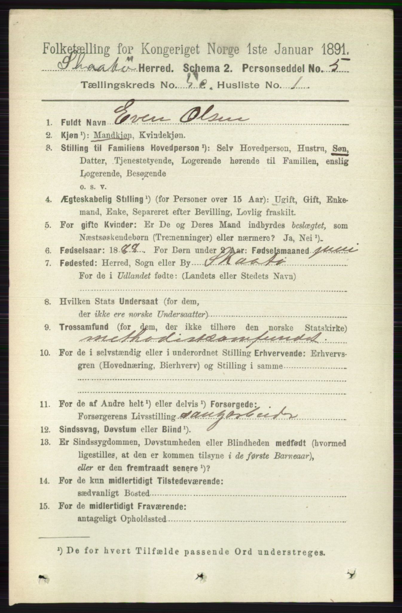 RA, 1891 census for 0815 Skåtøy, 1891, p. 2678