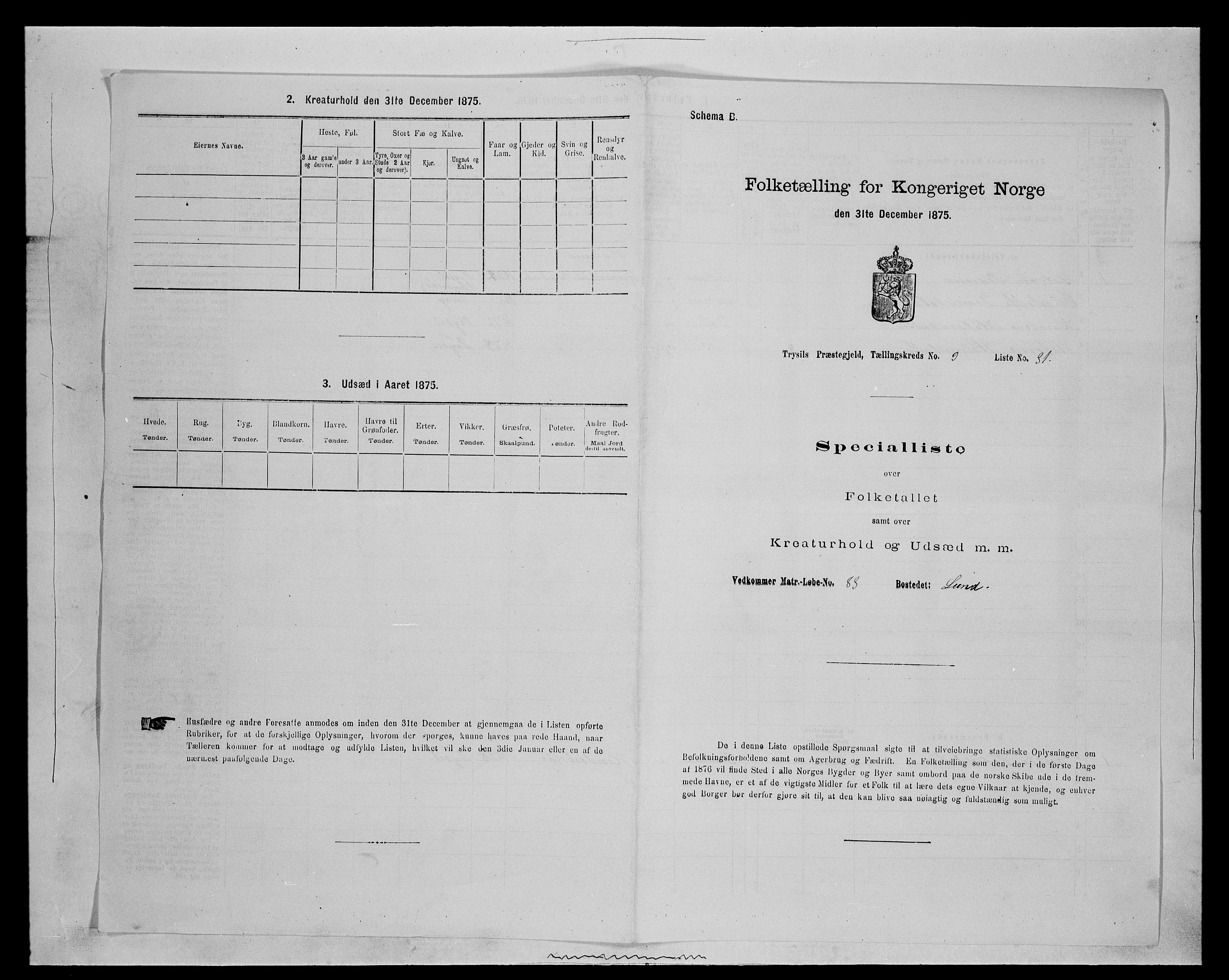 SAH, 1875 census for 0428P Trysil, 1875, p. 1137