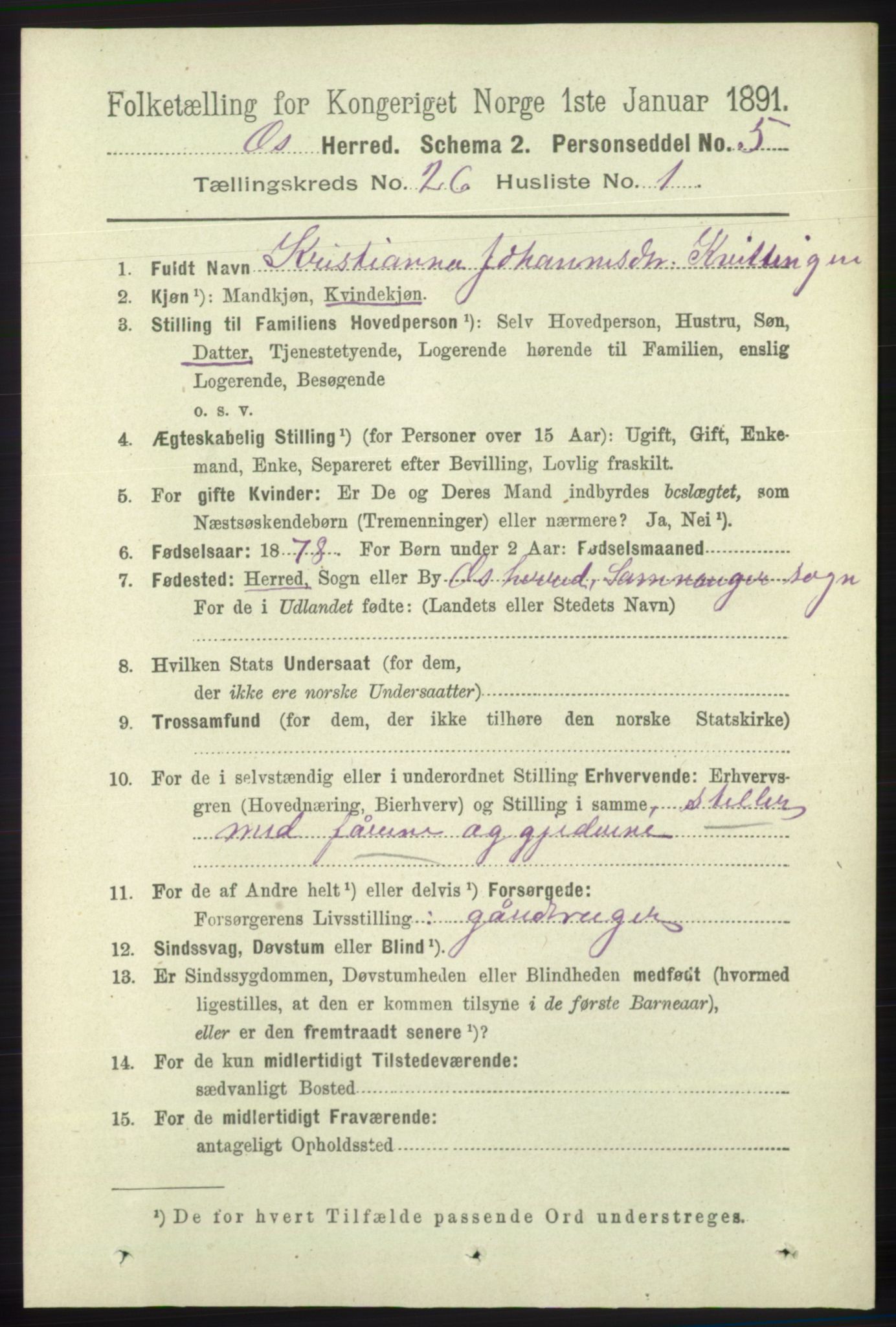 RA, 1891 census for 1243 Os, 1891, p. 5482