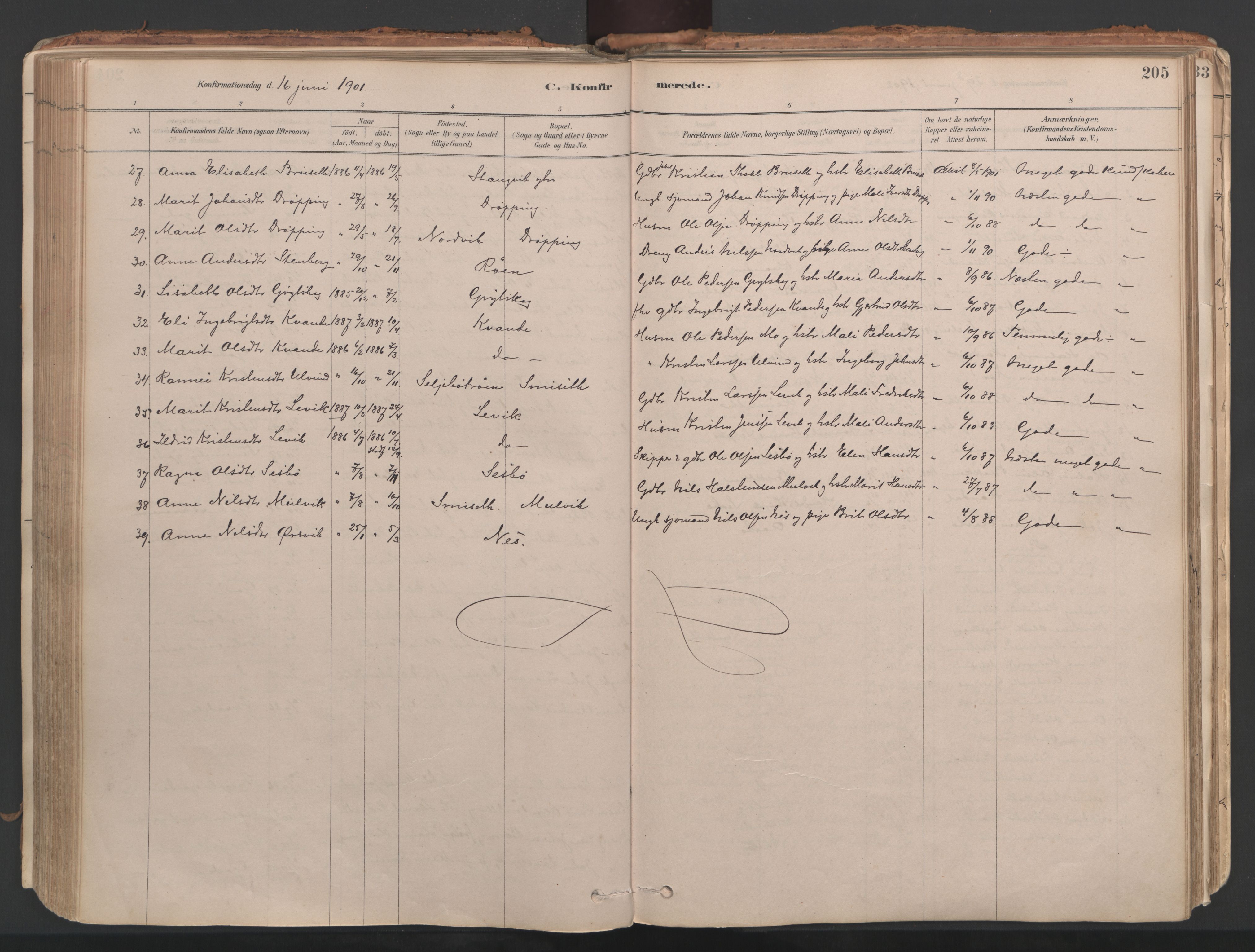 Ministerialprotokoller, klokkerbøker og fødselsregistre - Møre og Romsdal, AV/SAT-A-1454/592/L1029: Parish register (official) no. 592A07, 1879-1902, p. 205