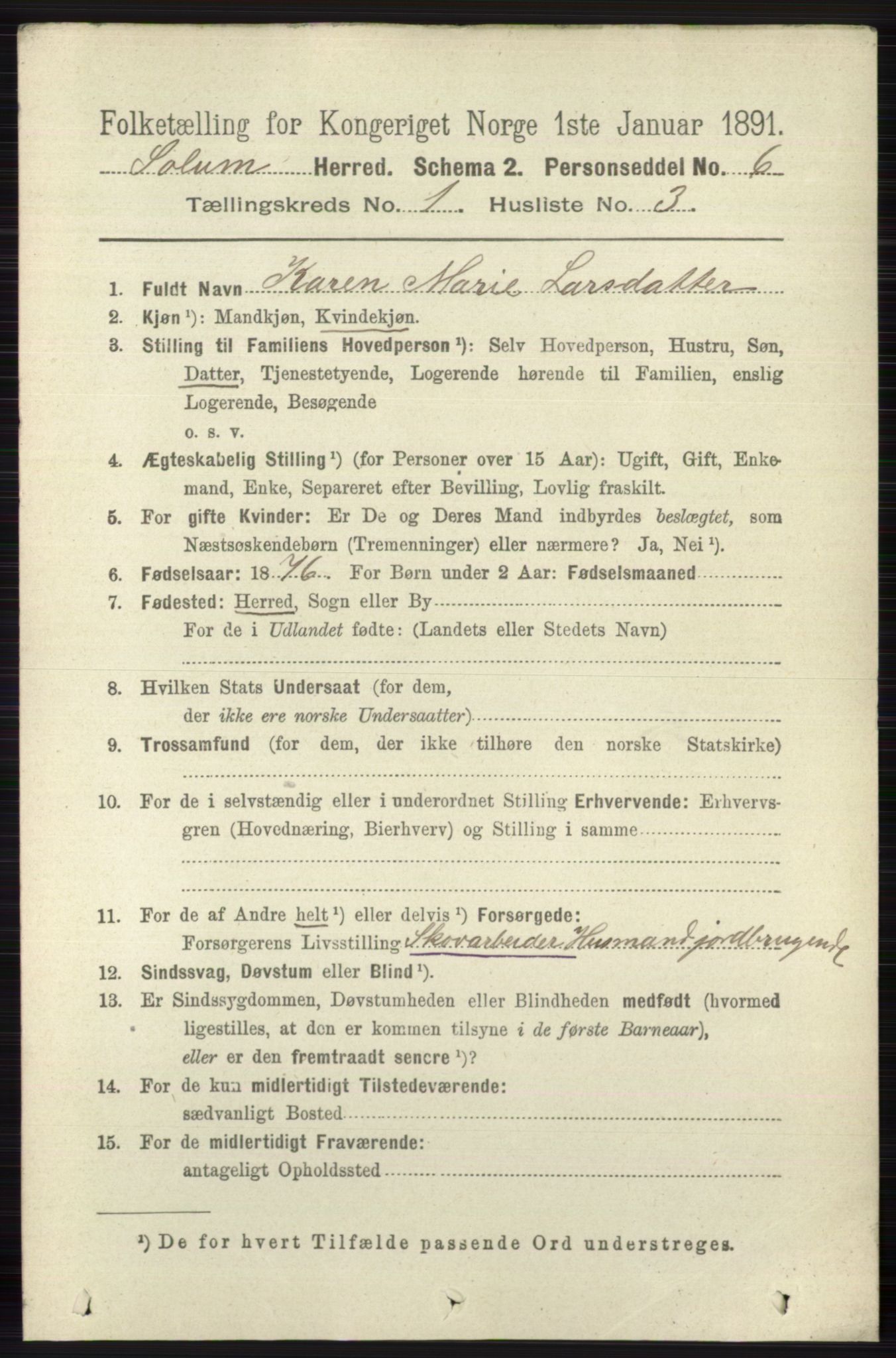 RA, 1891 census for 0818 Solum, 1891, p. 62